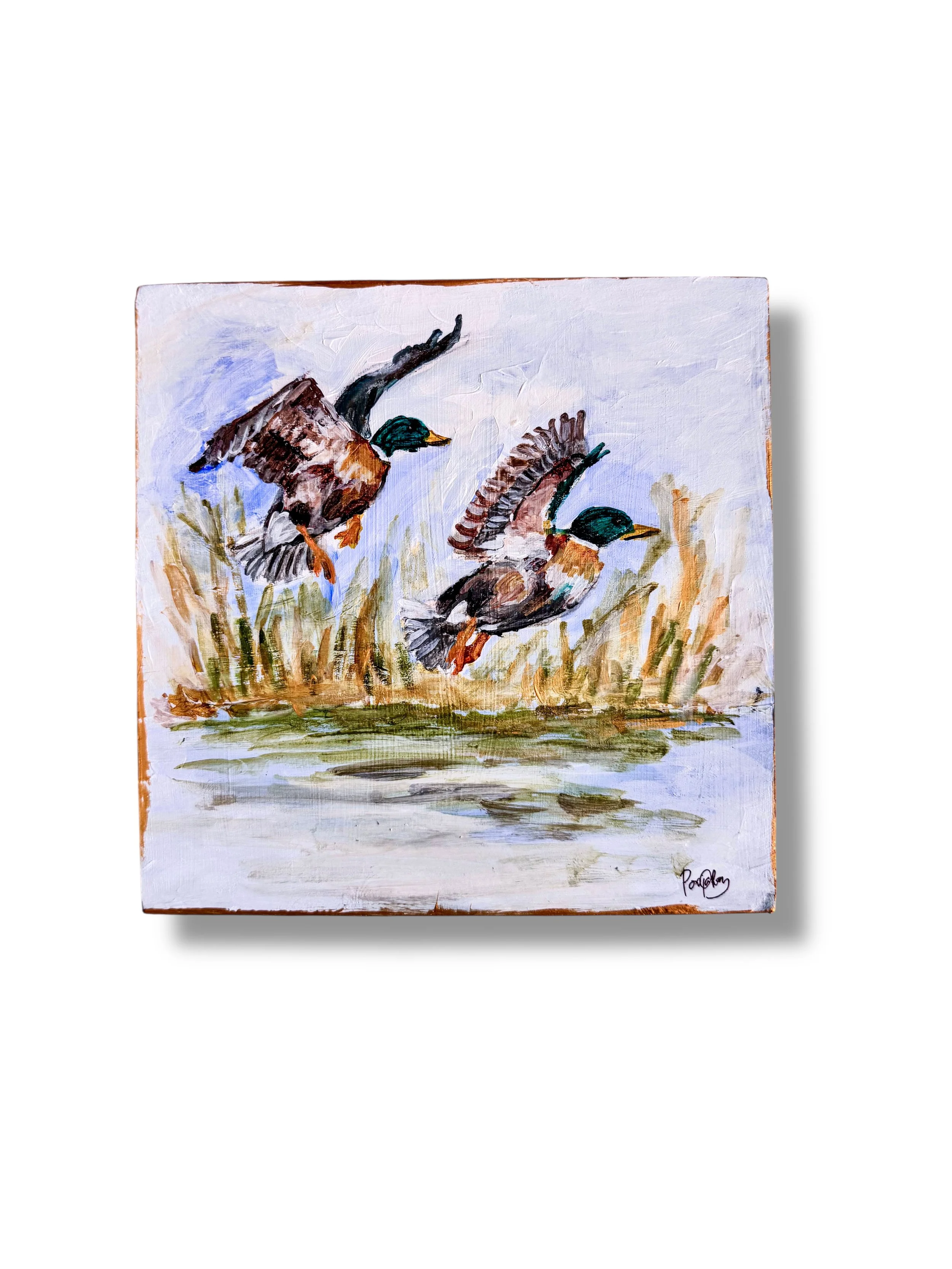 Acrylic painting of Mighty Mallard ducks by Charlotte, NC Artist Pooja Roy-5.JPG