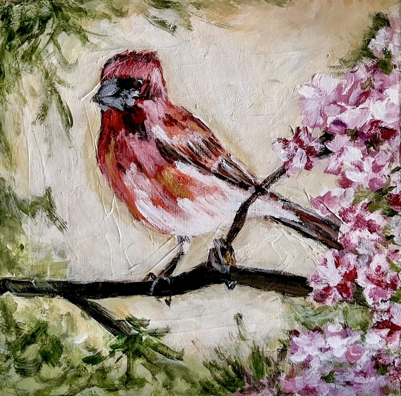 Fiona the Finch closeup.jpg