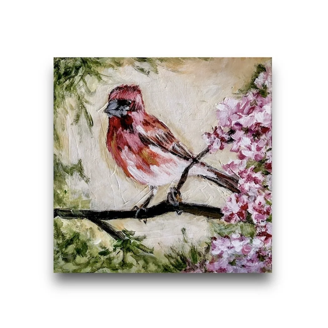 Fiona the Finch.jpg