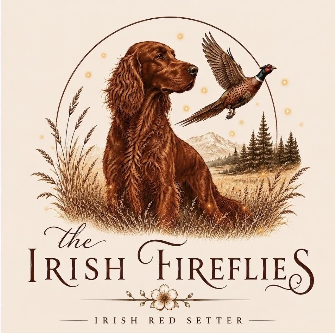 The Irish Fireflies
