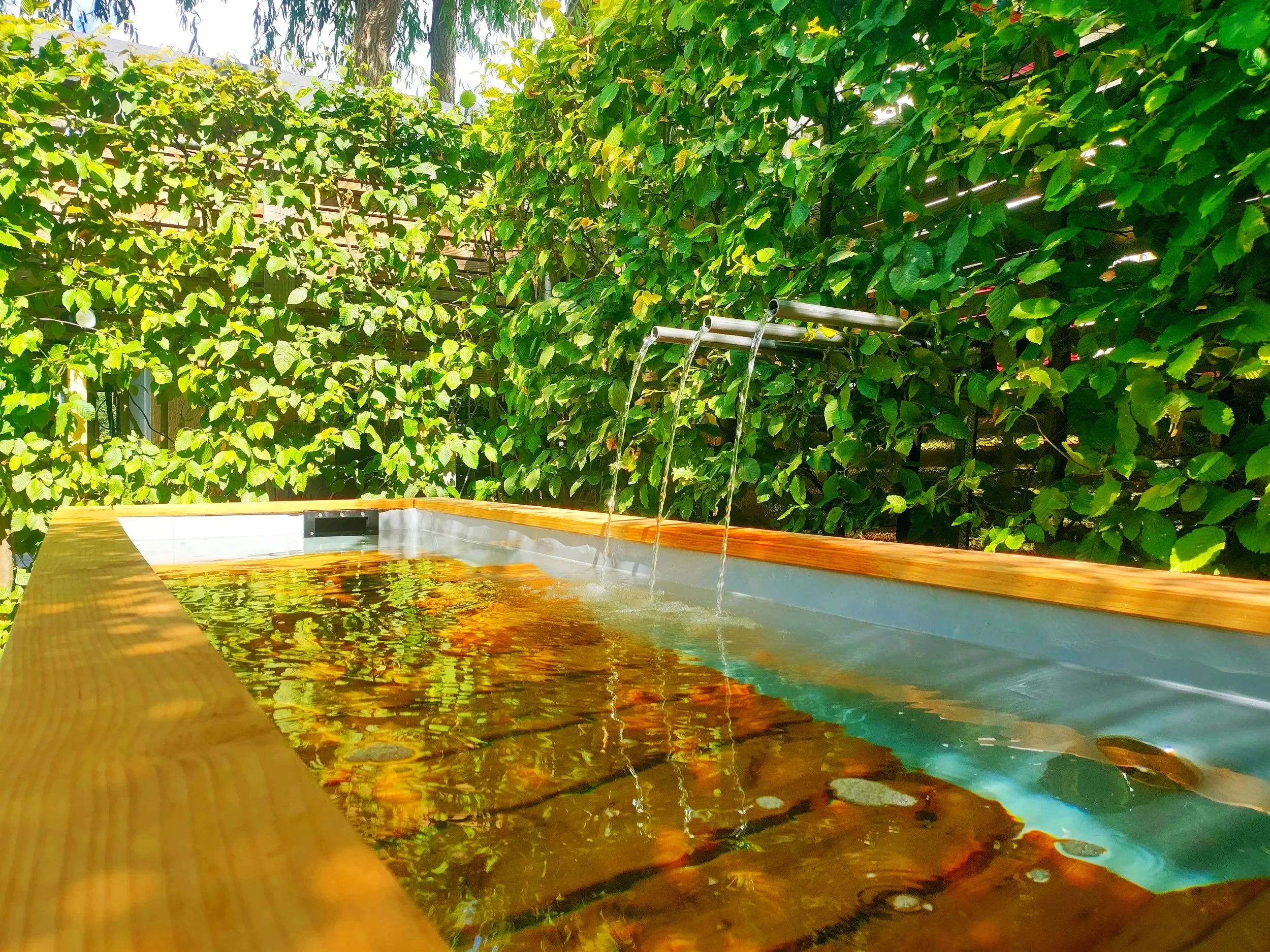 Badebrunnen mit Wasseraufbereitung, Hotpot, Wellness, Lärchenholz, Thun und Umgebung