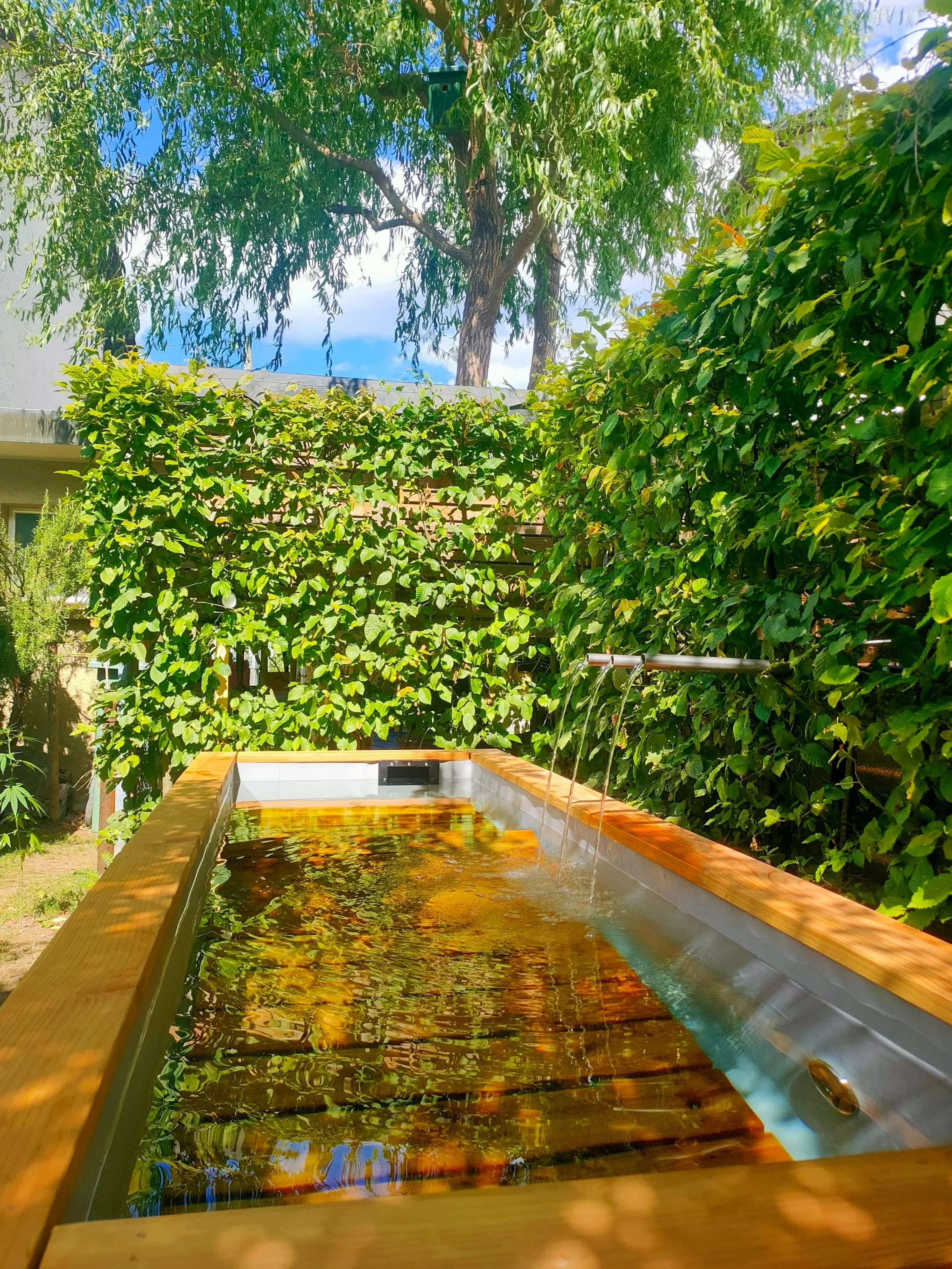 Wellness, Badebrunnen , Hotpot, Sprudelanlage, Thun, Bern