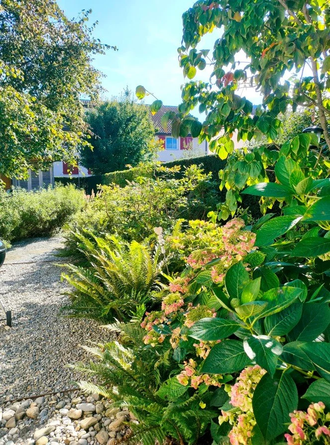 Begrünung,Gartenplanung und umsetzung, Gartnplanung Thun,Bern