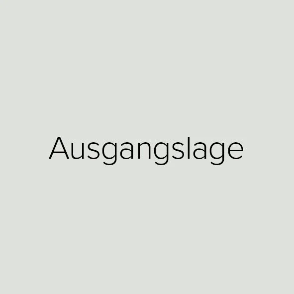 Ausgangslage, Ist- Situation