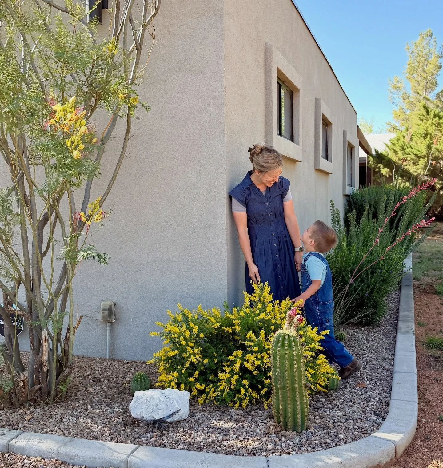 Life Lately🫶🏼🌼🌅🌵🏜️🏠🌻🏕️ 
Spring is my favorite season in AZ! Flowers, beautiful sunsets, everything&rsquo;s getting green (green for Arizona😄), temps are amazing&hellip;so we&rsquo;ve been spending a lot of time outside!

-End of March we we