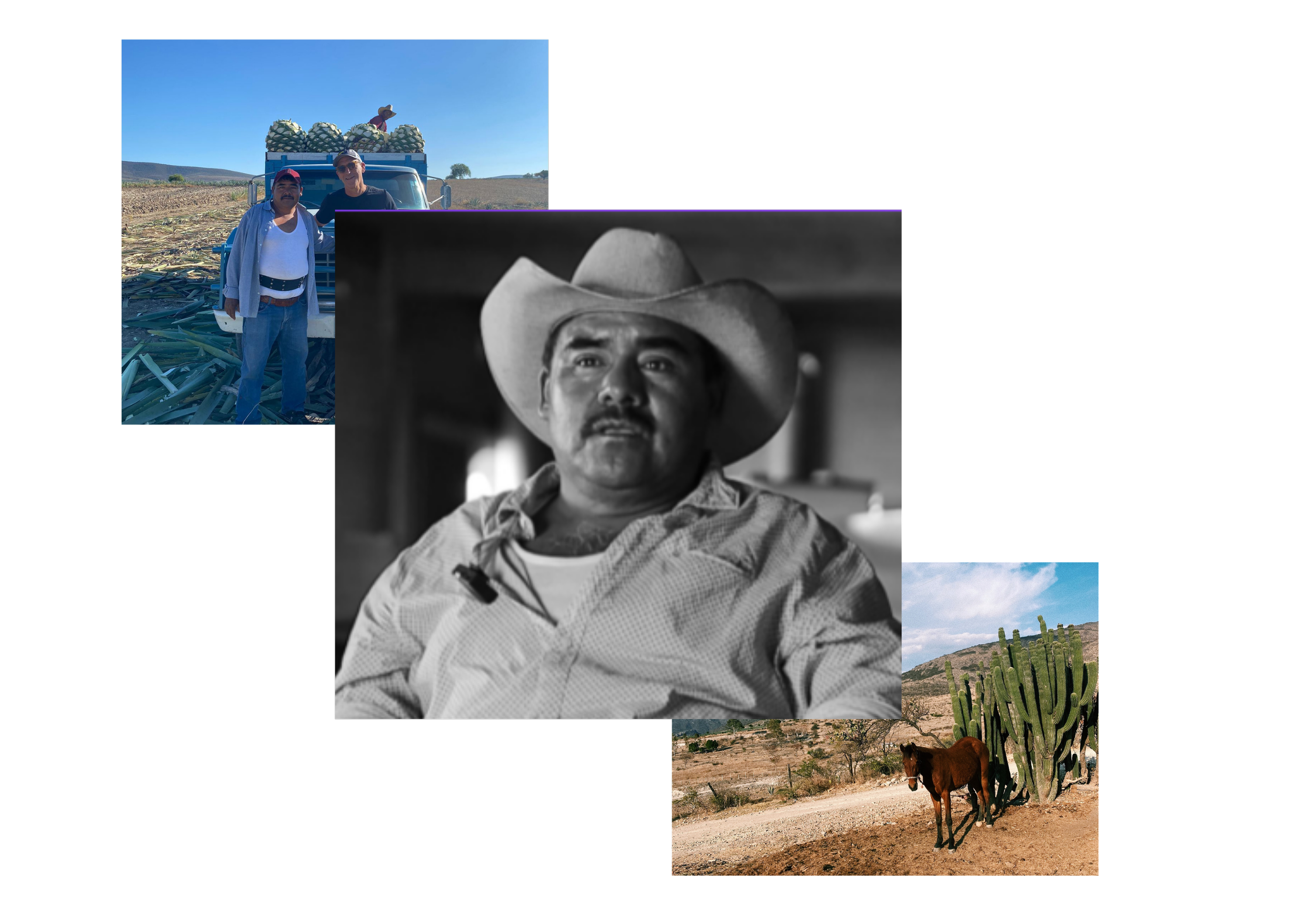 Ambrosio_MeetTheTeam_CatedralMezcal