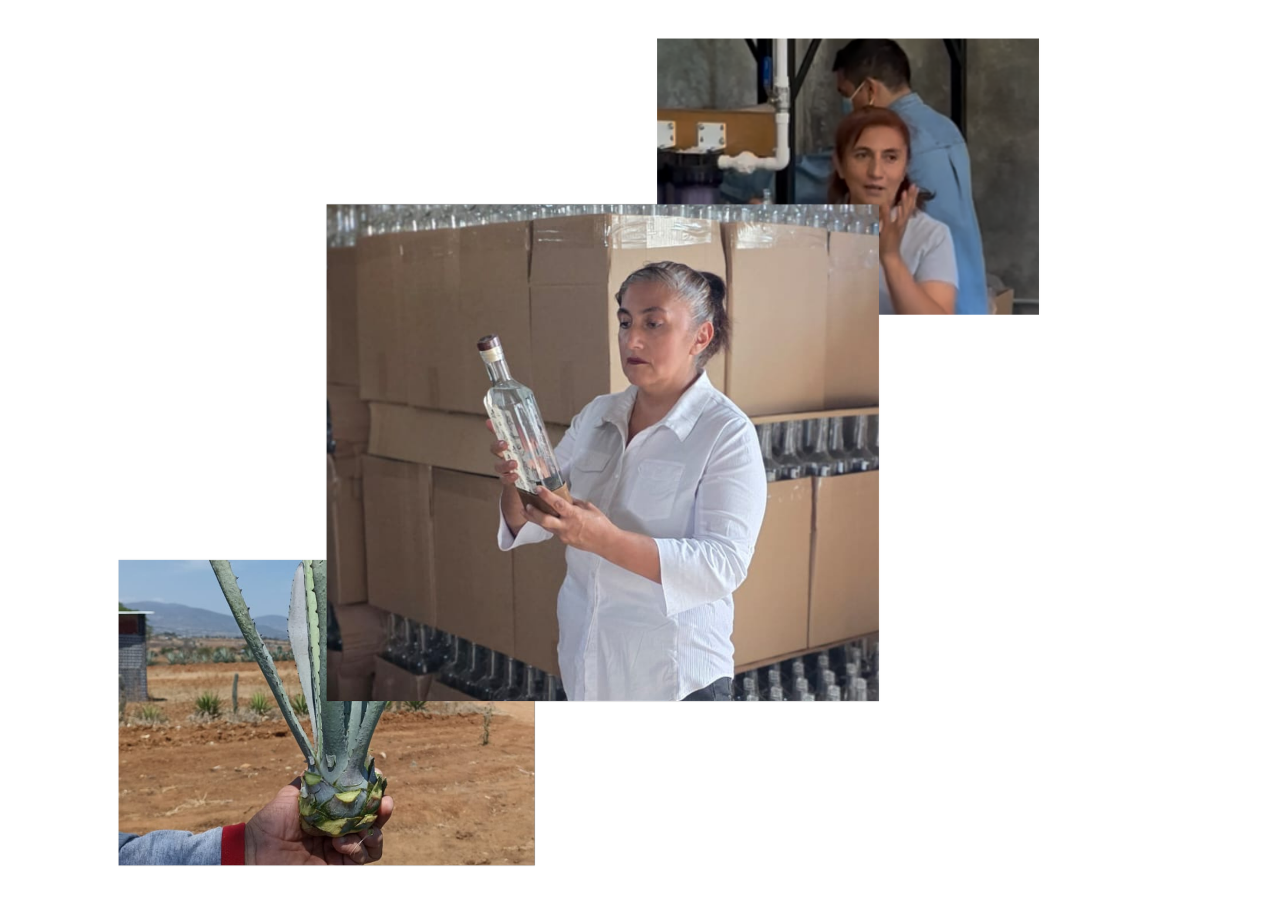 Mafalda_MeettheTeam_CatedralMezcal