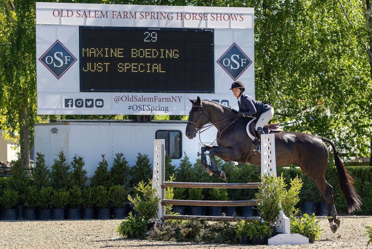 Caroline Olsen and Spark of Phoenix kicked off our equitation weekend with a win 🥇 in the Platinum Performance/USEF Show Jumping Talent Search - and Maxine Boeding and Just Special (pictured) kept the blue ribbons coming with first place in Saturday
