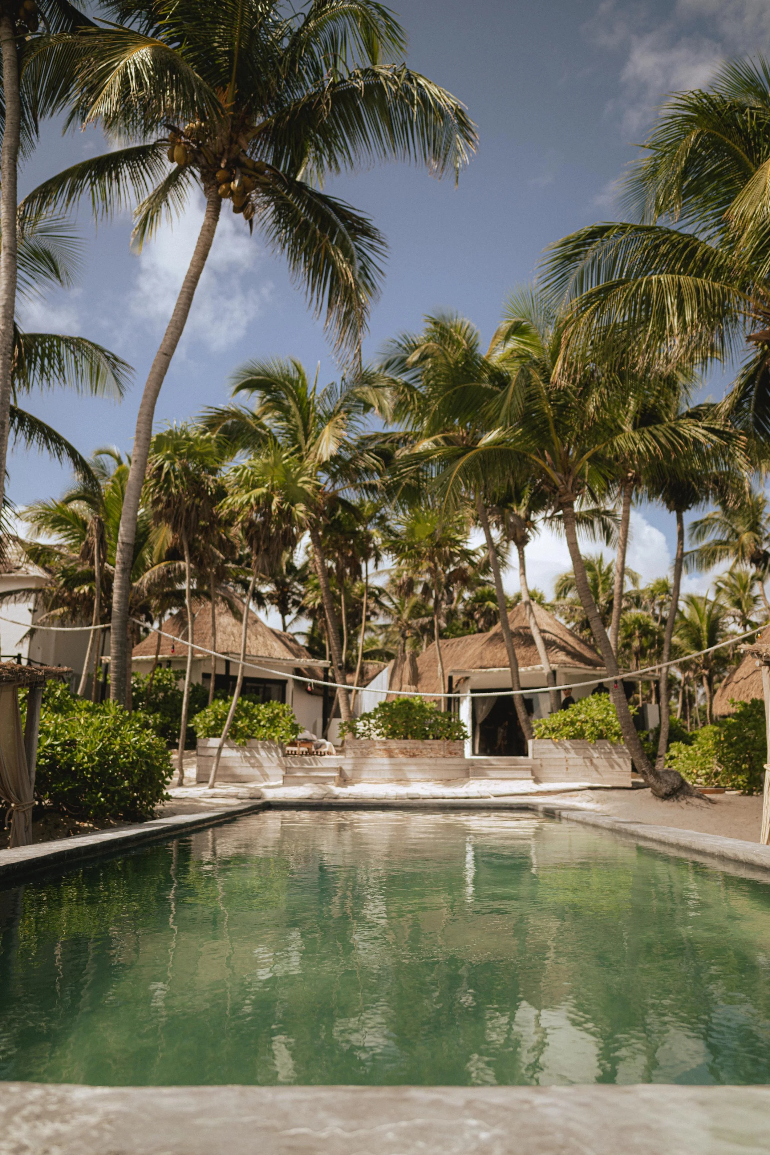 WhatsApp Image 2026-03-07 at 19.59.17 (8).jpeg