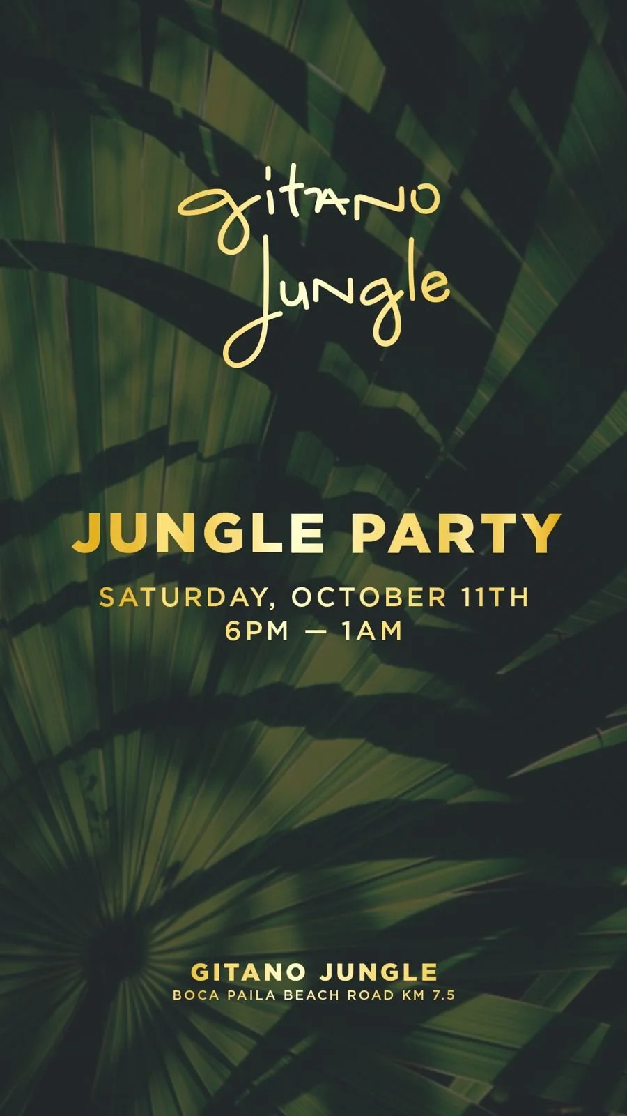 WhatsApp Image 2025-10-03 at 17.58.38.jpeg