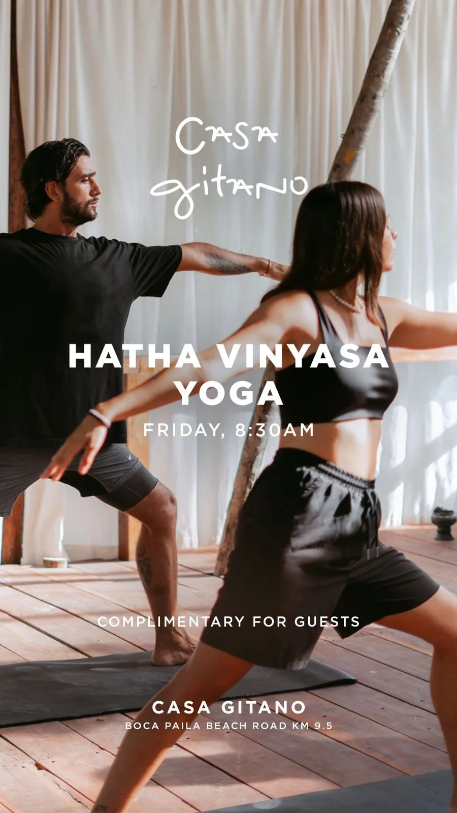 Hatha Vinyasa Yoga