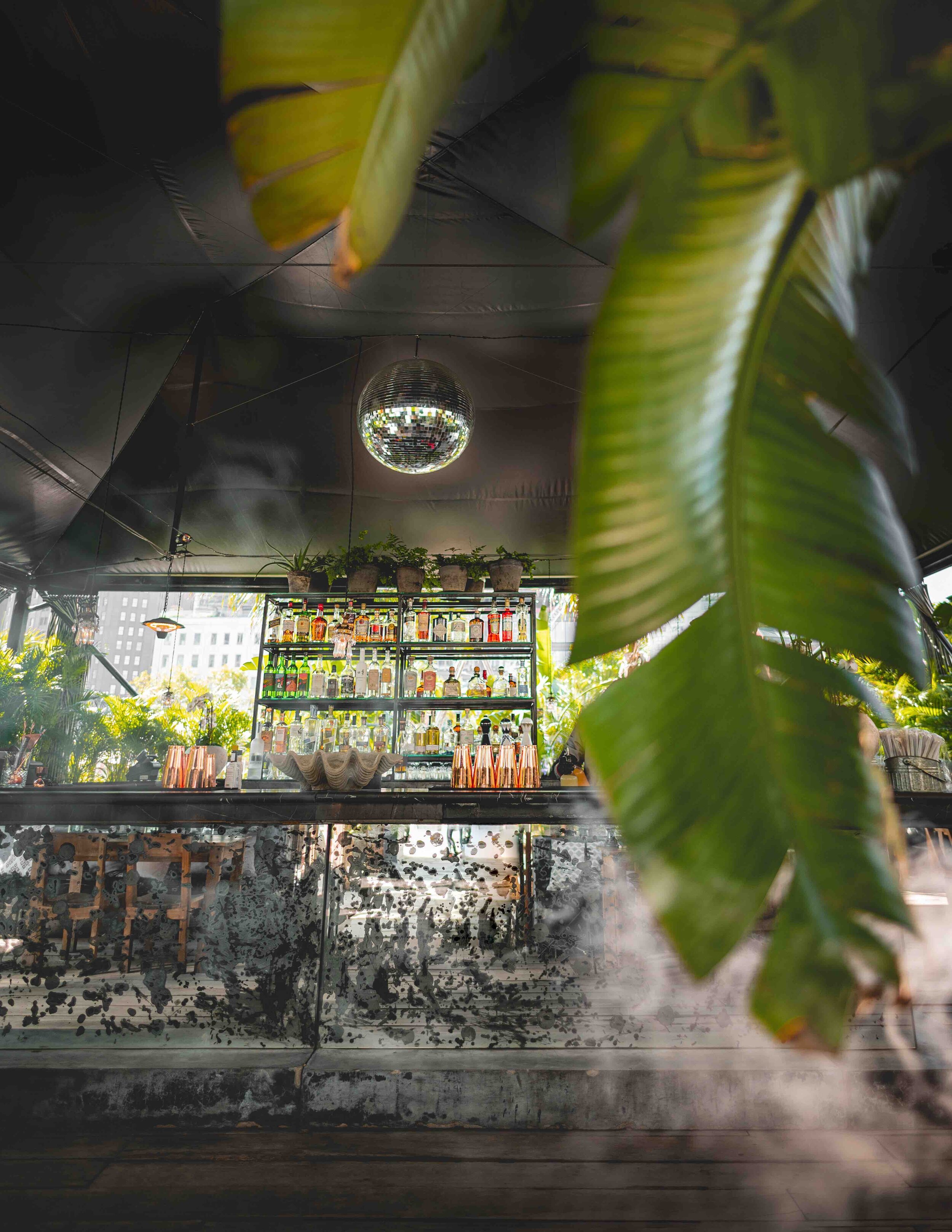 GITANO ISLAND RESTAURANT & LOUNGE NYC — GITANO