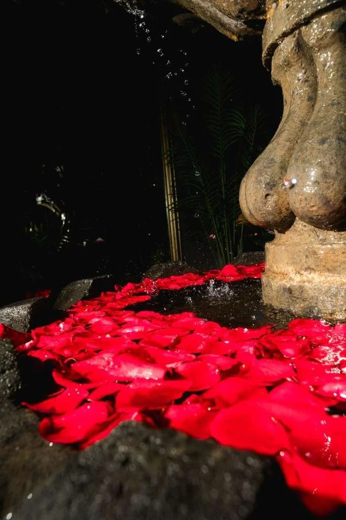 WhatsApp Image 2026-02-05 at 14.09.21.jpeg