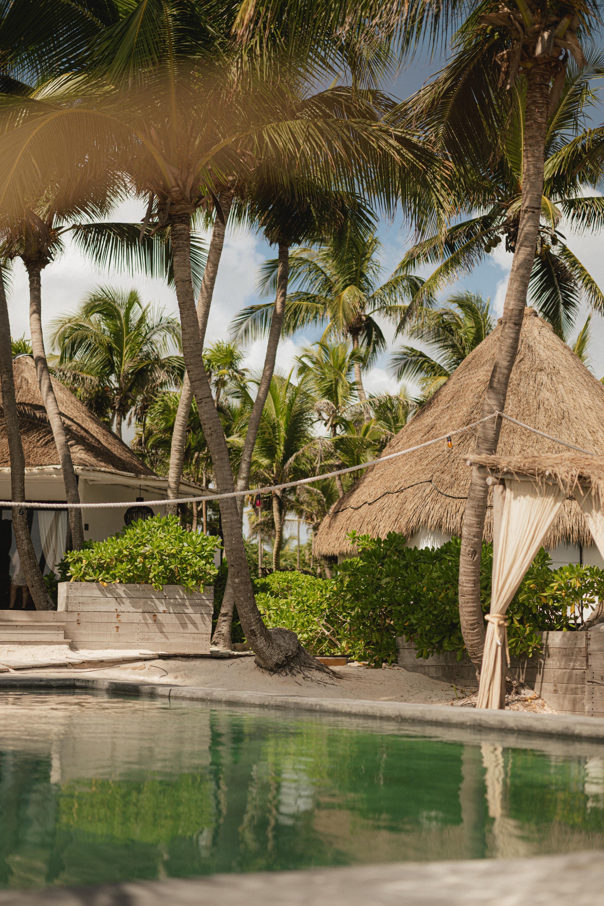 WhatsApp Image 2026-03-07 at 19.59.17 (2).jpeg