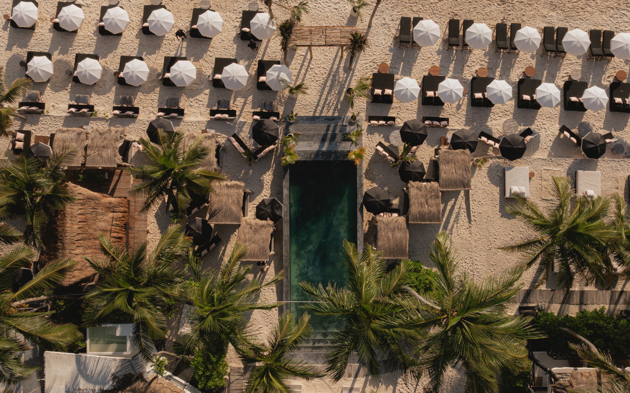 WhatsApp Image 2026-03-07 at 19.59.16 (3).jpeg