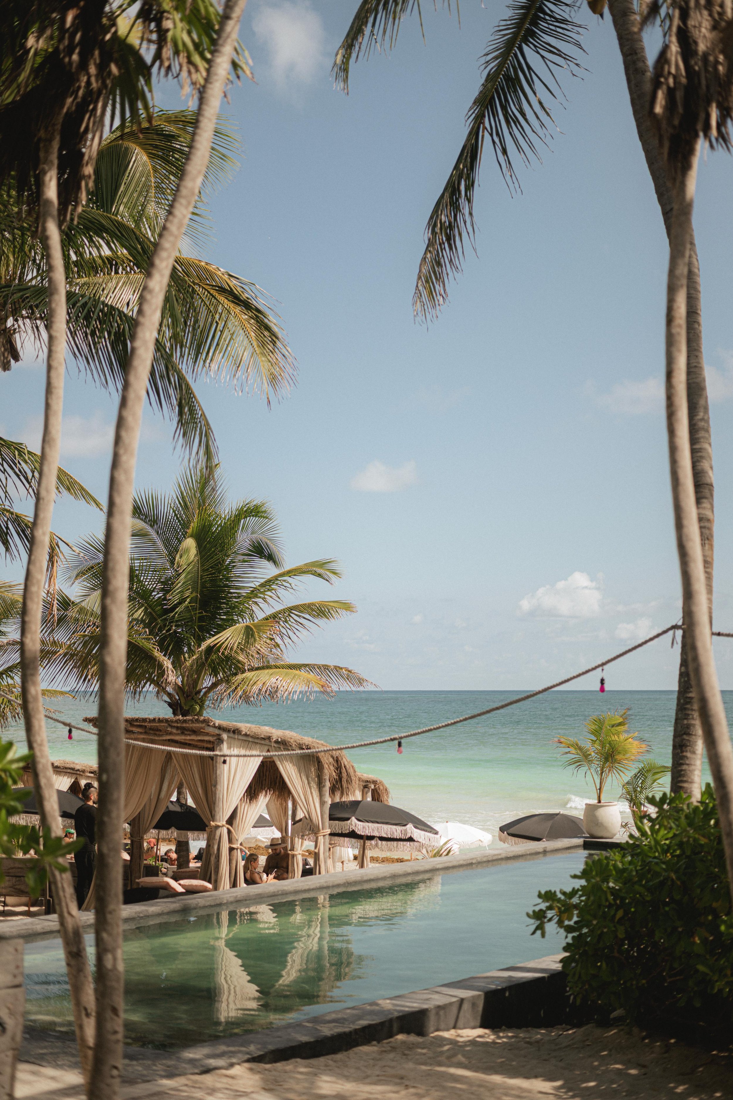 WhatsApp Image 2026-03-07 at 19.59.16 (1).jpeg