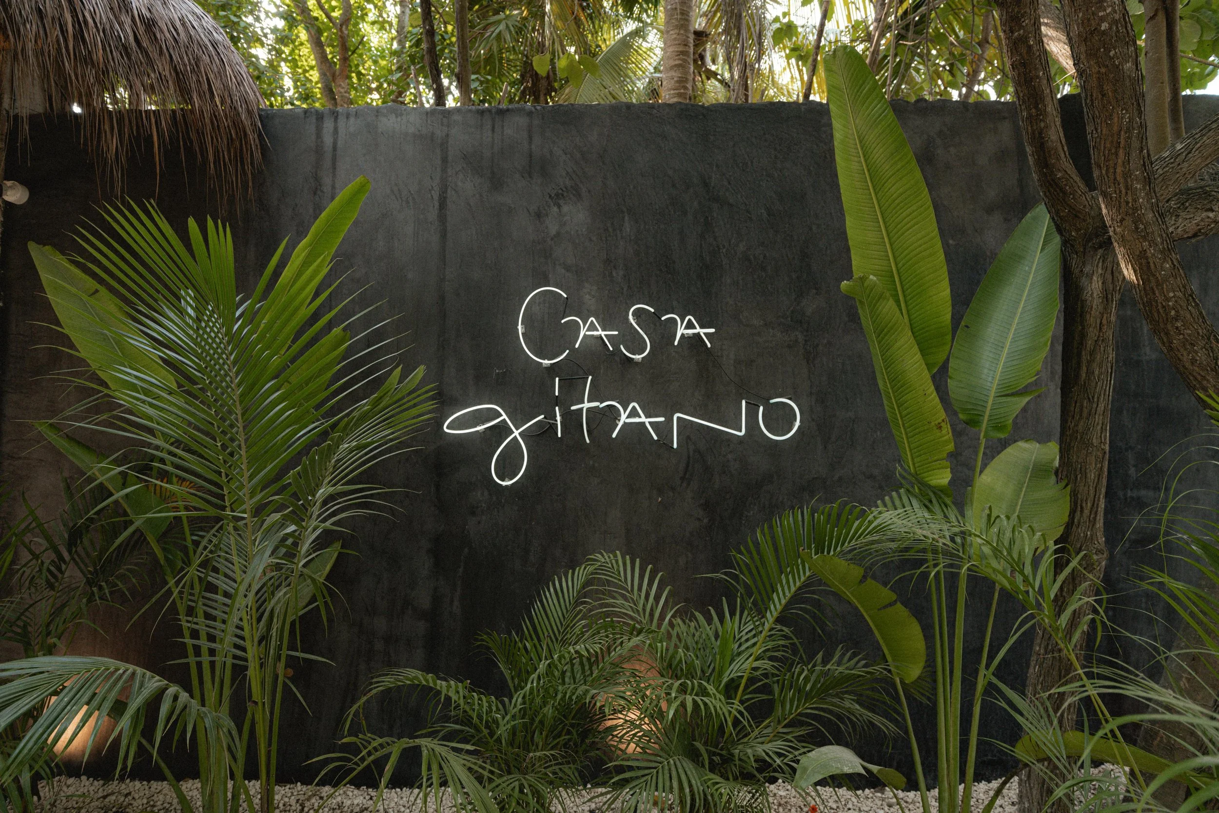 WhatsApp Image 2026-03-07 at 19.59.17 (12).jpeg