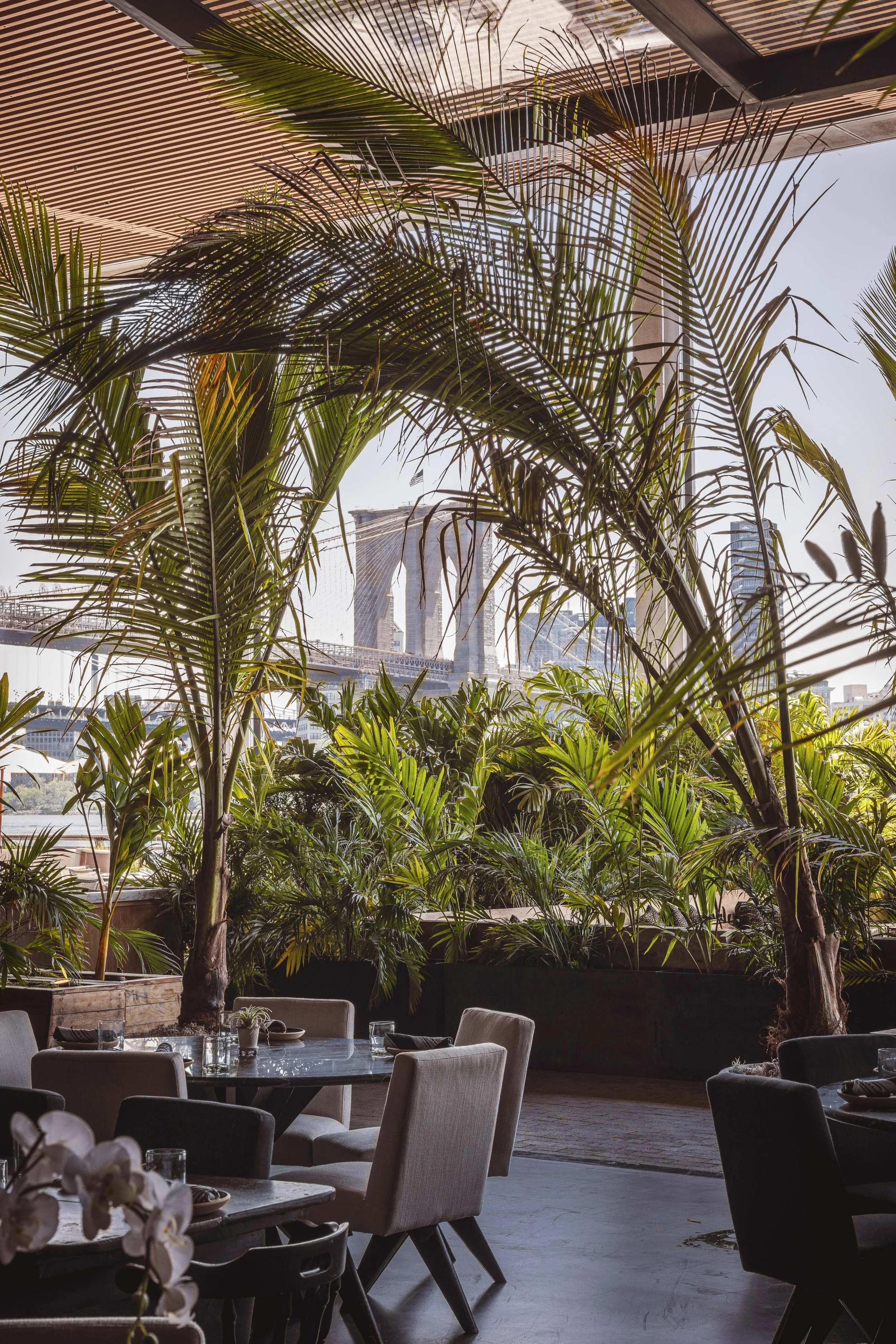 Daylight fills the dining room at GITANO NYC, where lush tropical plants, bohemian décor, and sweeping views of the Brooklyn Bridge create an elegant waterfront oasis.