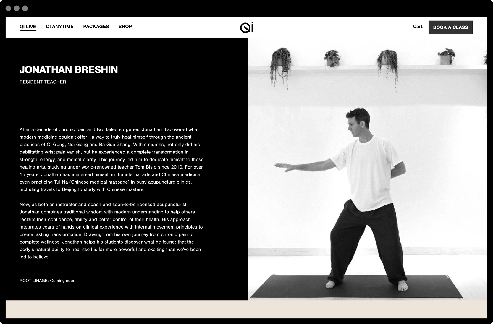 QI_Website_InBrowser4.png