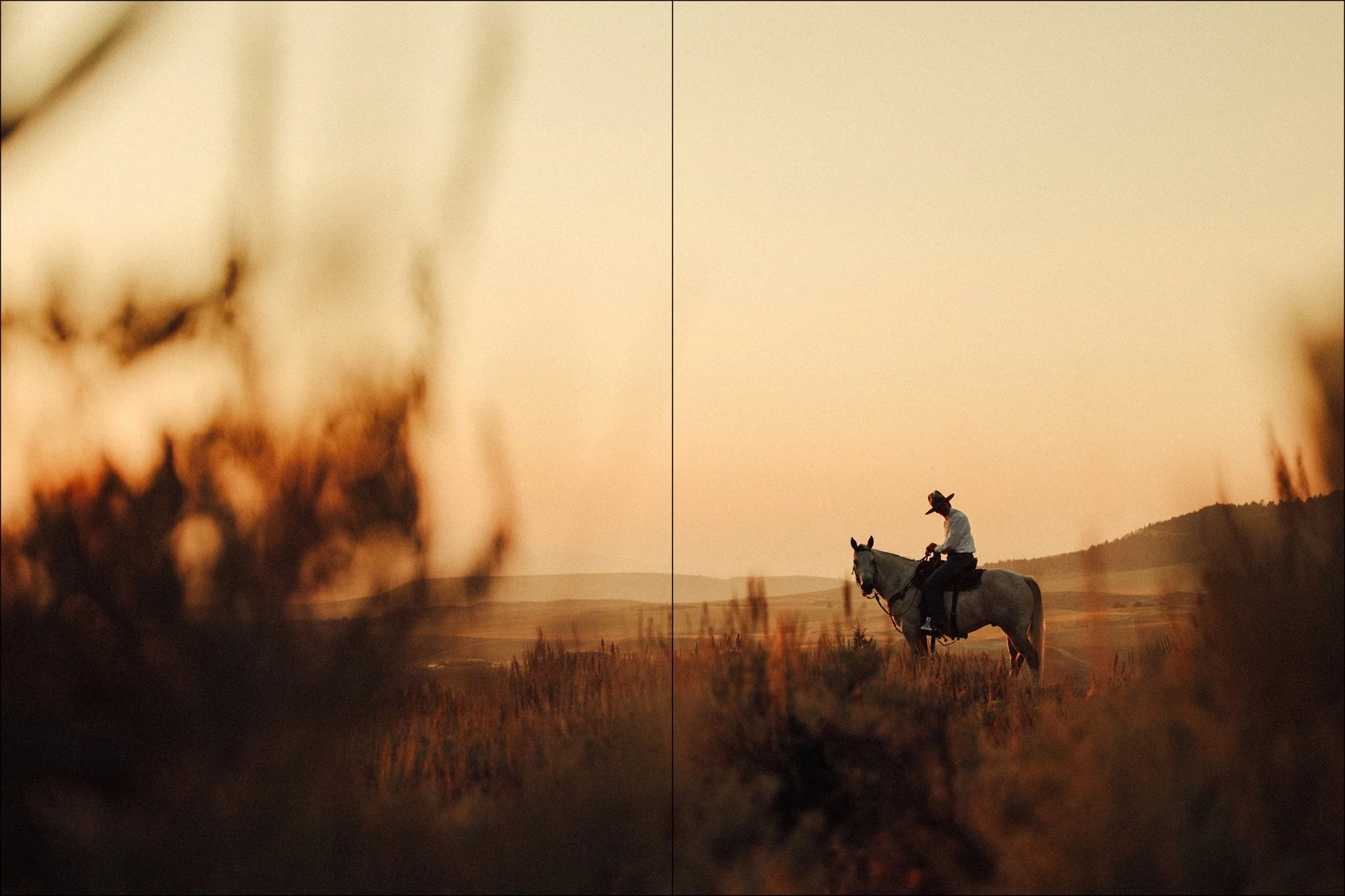 Stetson Book_INTERIOR_FINAL_CURRENT_238-239.jpg