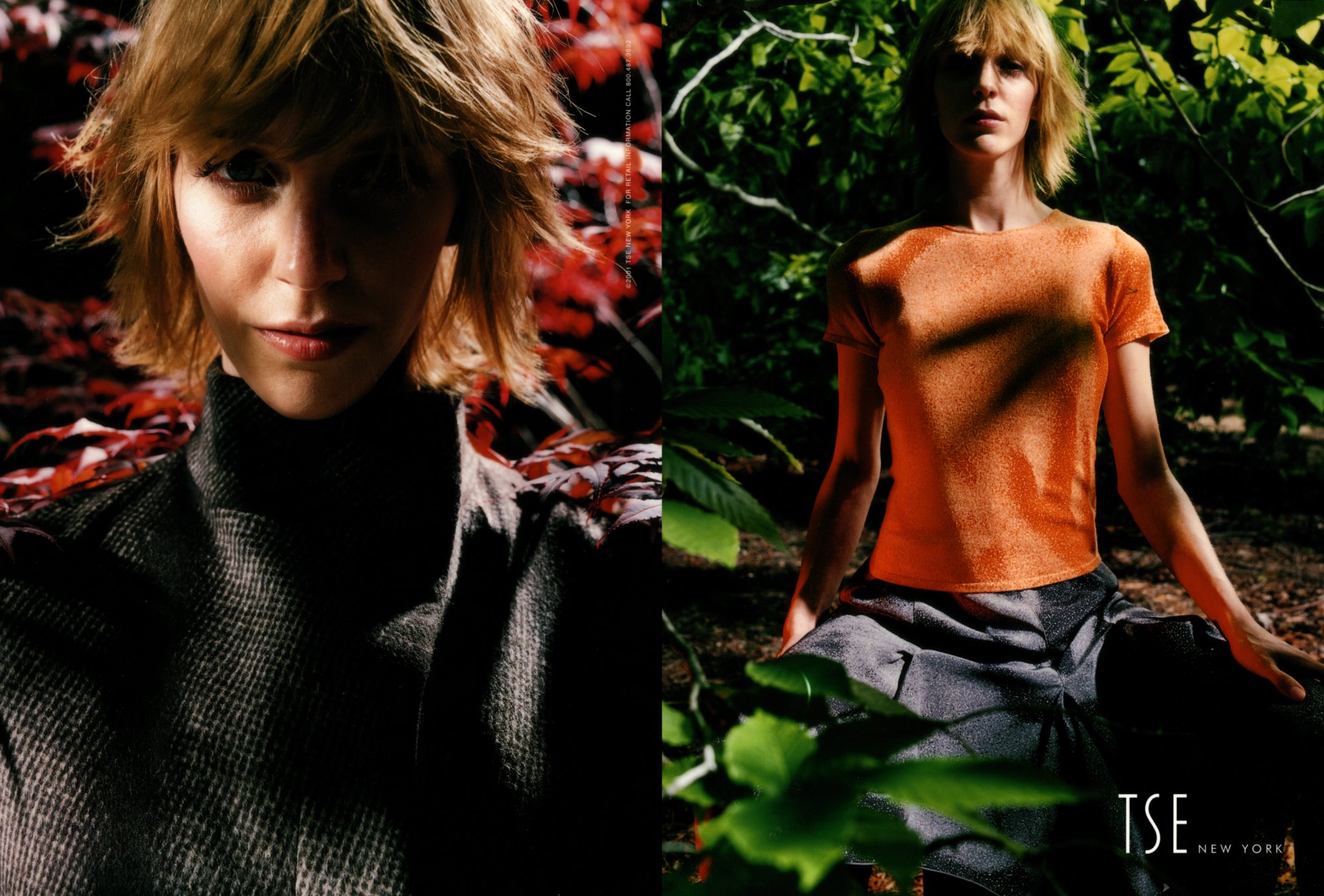 Carter Smith for TSE