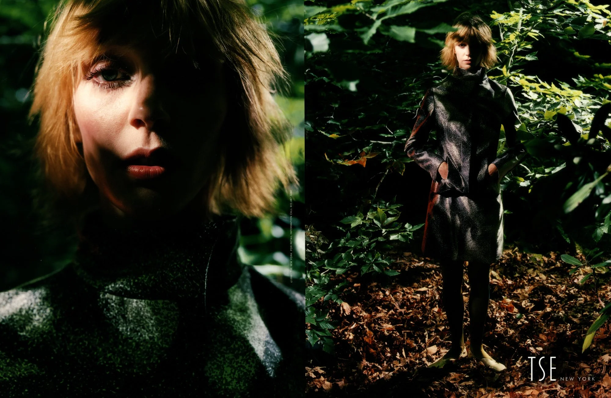 Carter Smith for TSE