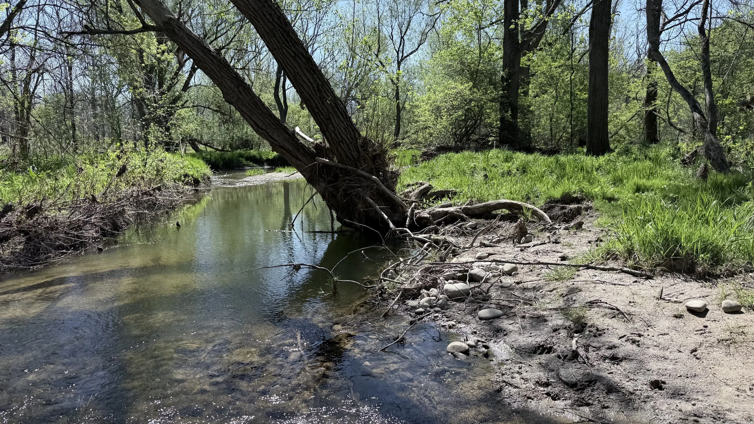 Plenty of shallow streams.