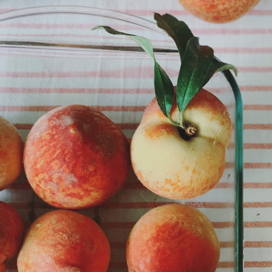 Does anything make you think summer more than a juicy peach?
Our peach trees aren&rsquo;t producing yet, but we love heading down to buy some @cooperpeaches as soon as they start selling. Do you have a favorite peachy summer dessert or dish?