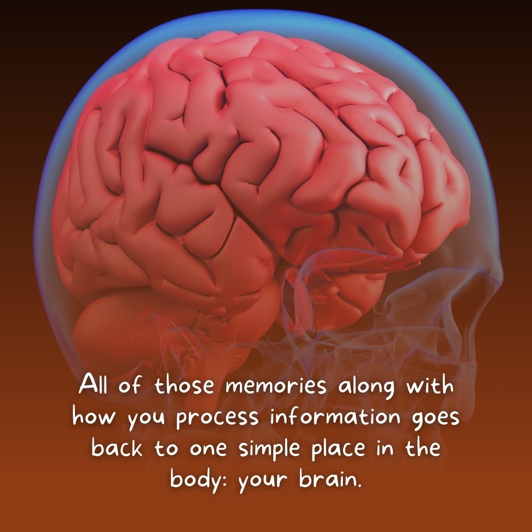 Memories and information processing are focused on one area of the body: the brain.

Taking care of your brain goes way beyond wearing a helmet when you go out on a bike or avoiding hitting your brakes too hard and causing whiplash!

Foods and choice