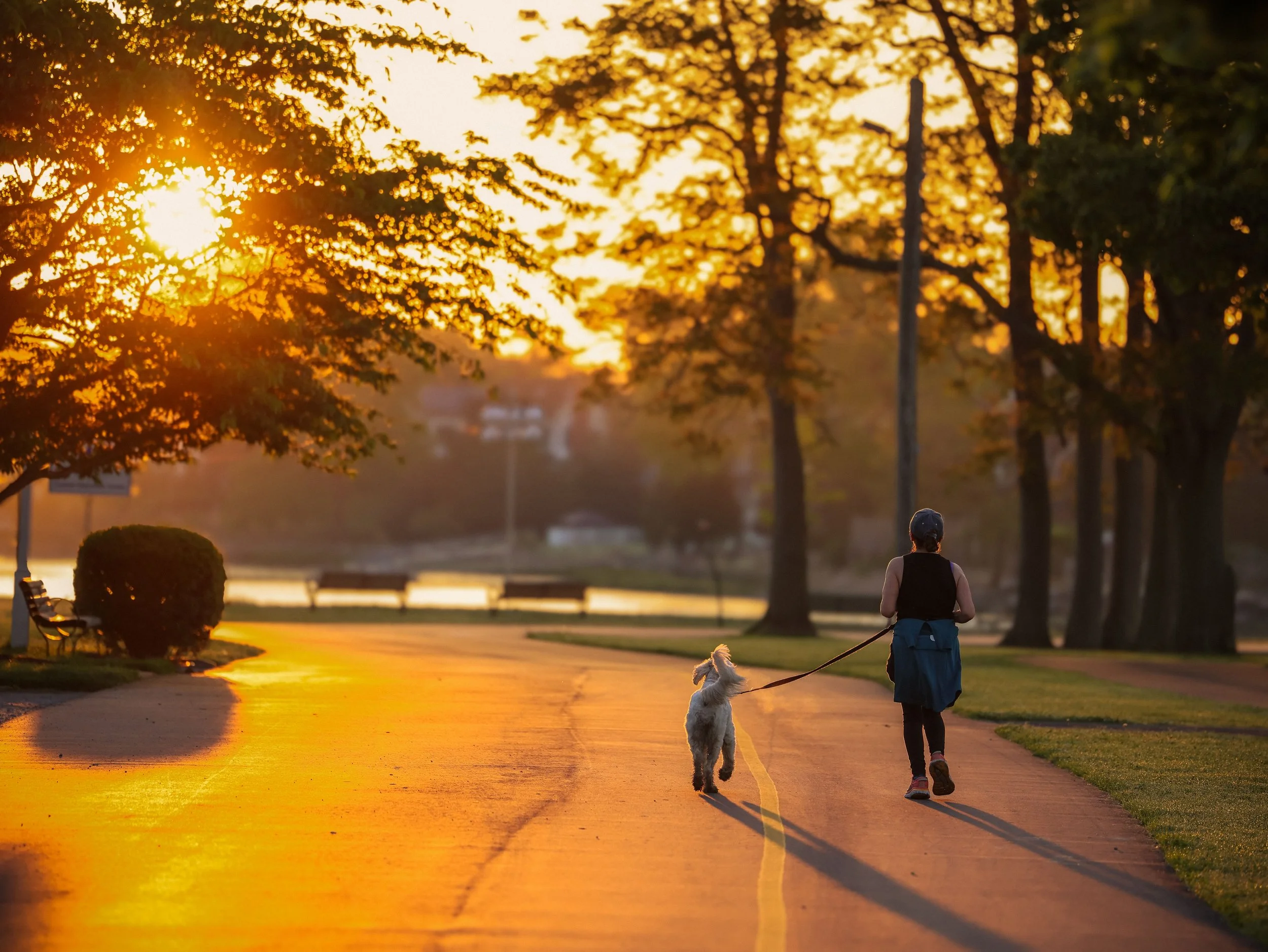 Overlooked Factors That Impact Your Immune Health Every Day