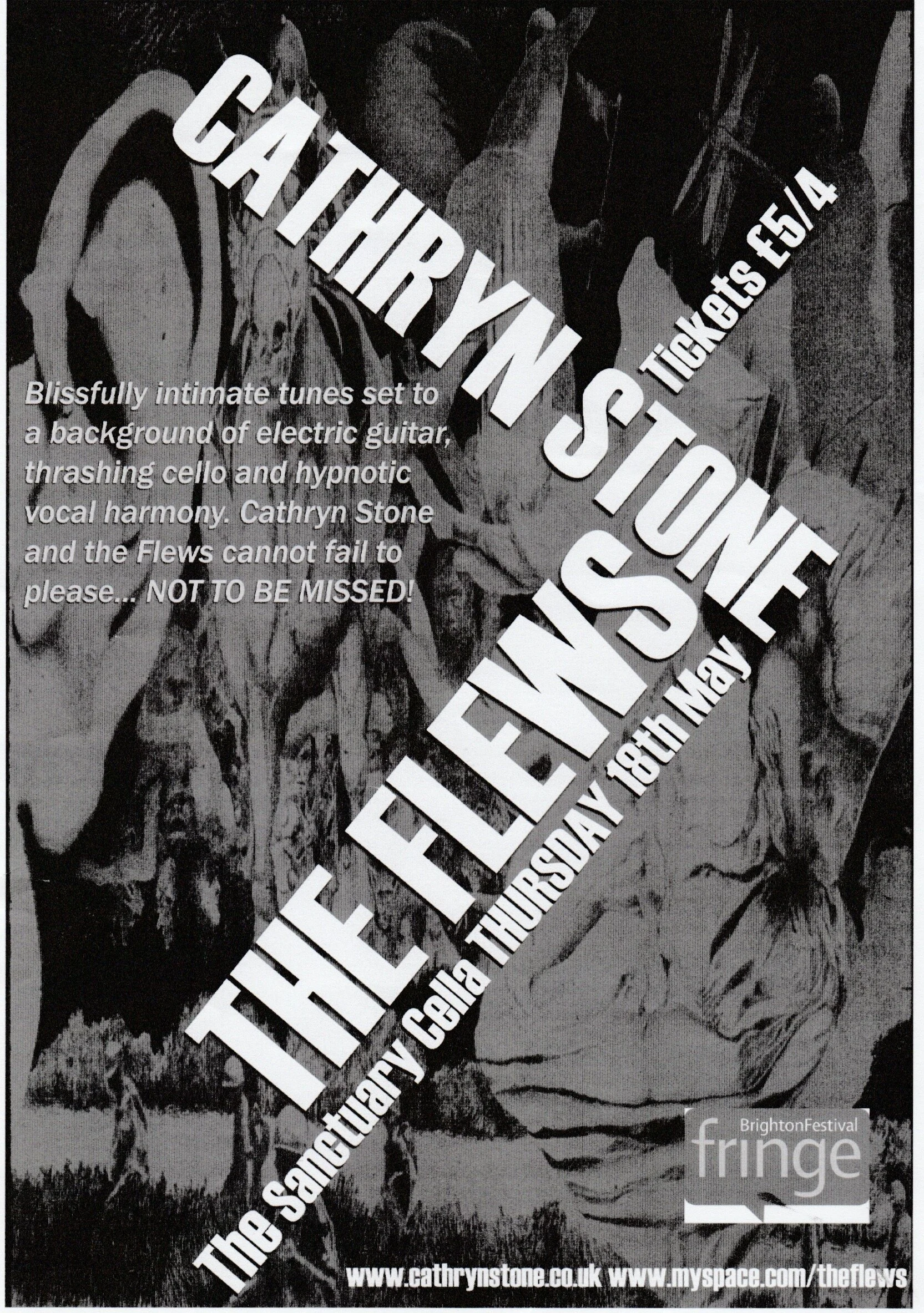 Cath Stone Flews Poster.jpeg