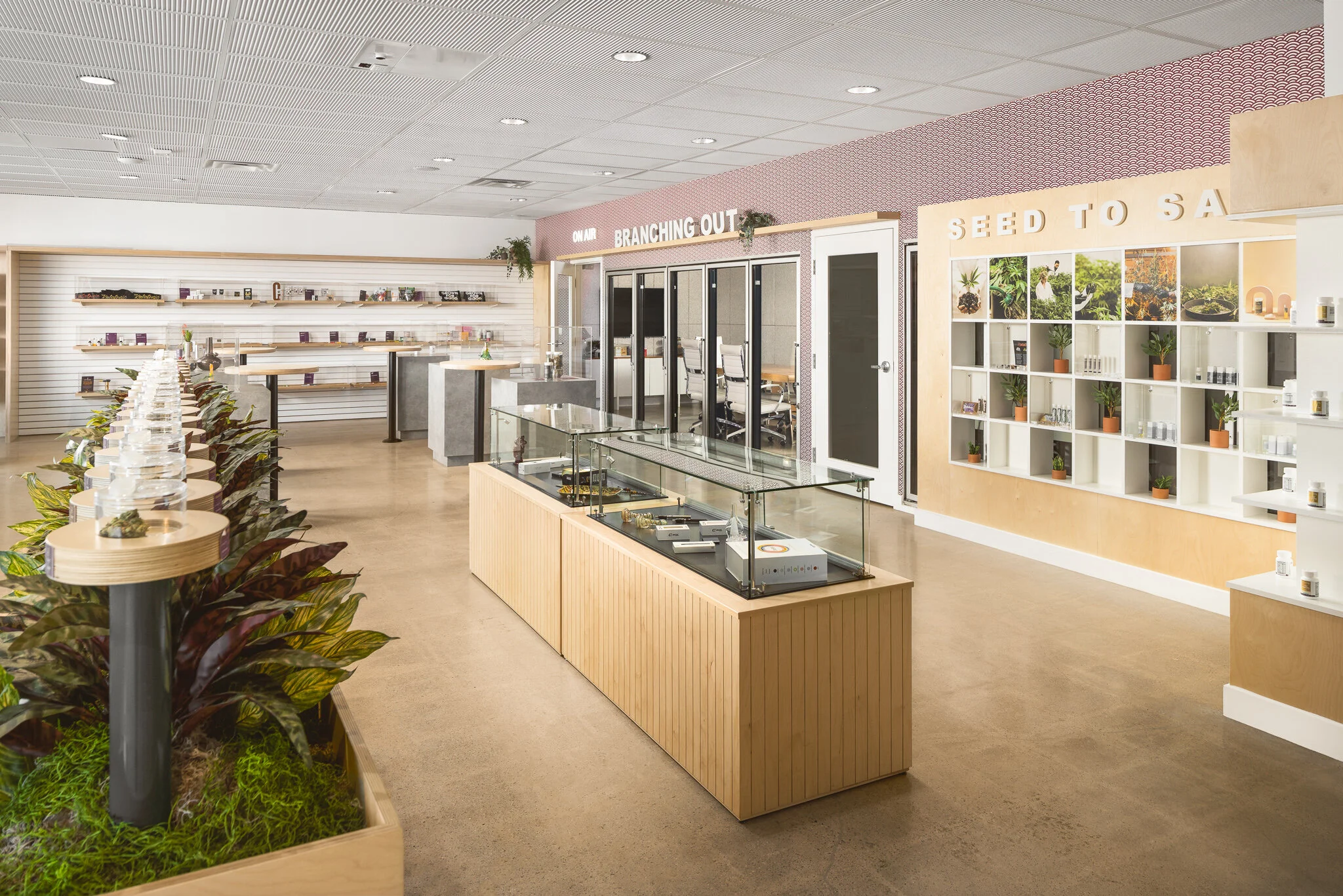 Giving Tree Dispensary