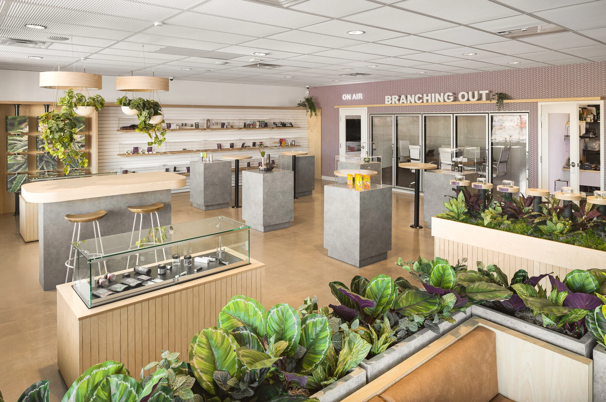 Giving Tree Dispensary