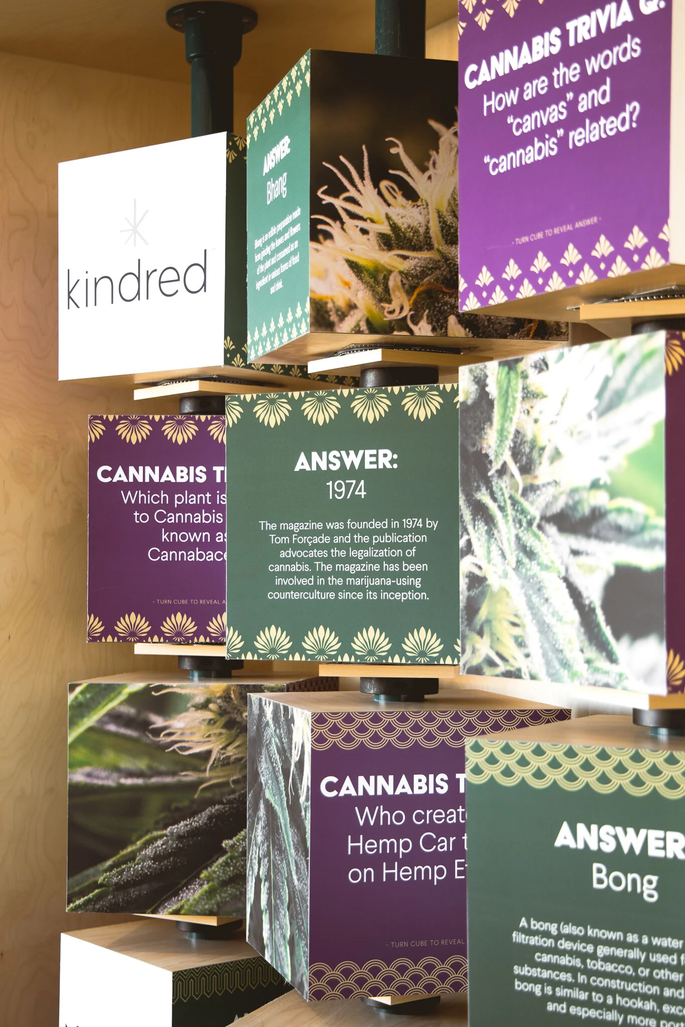 Giving Tree Dispensary