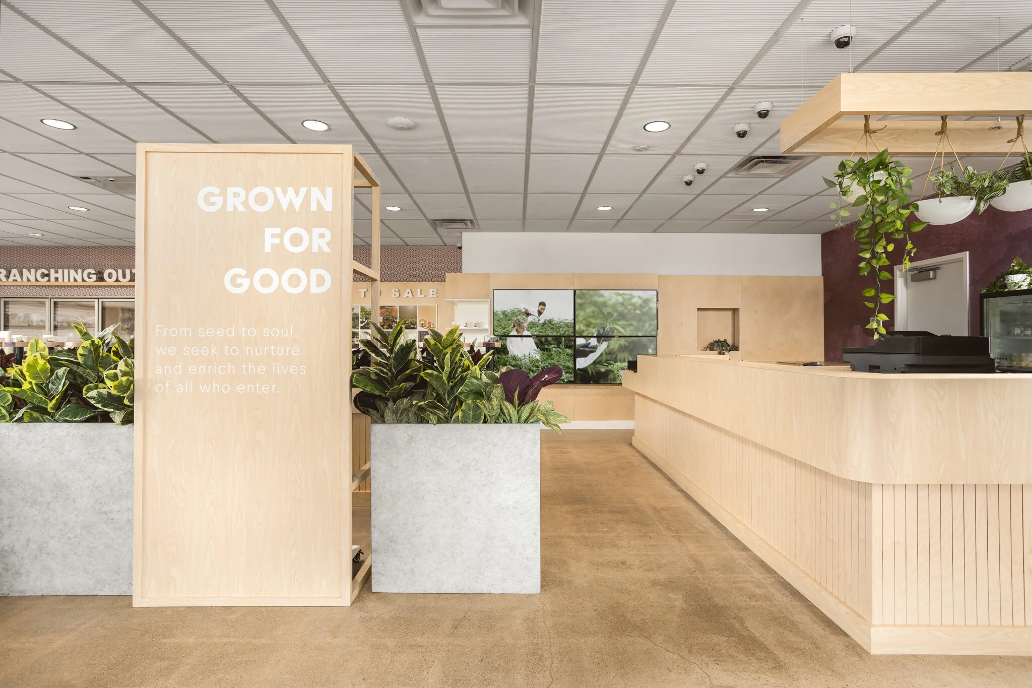 Giving Tree Dispensary