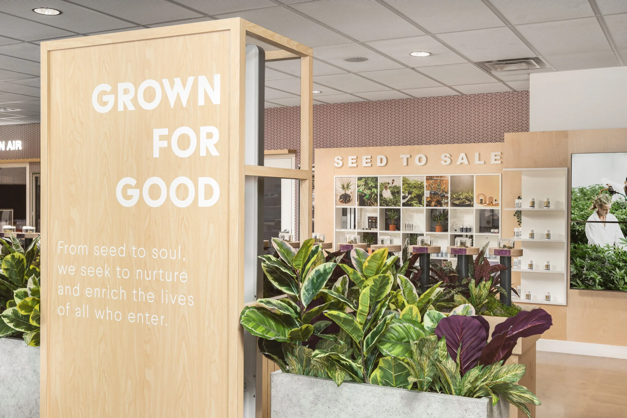 Giving Tree Dispensary