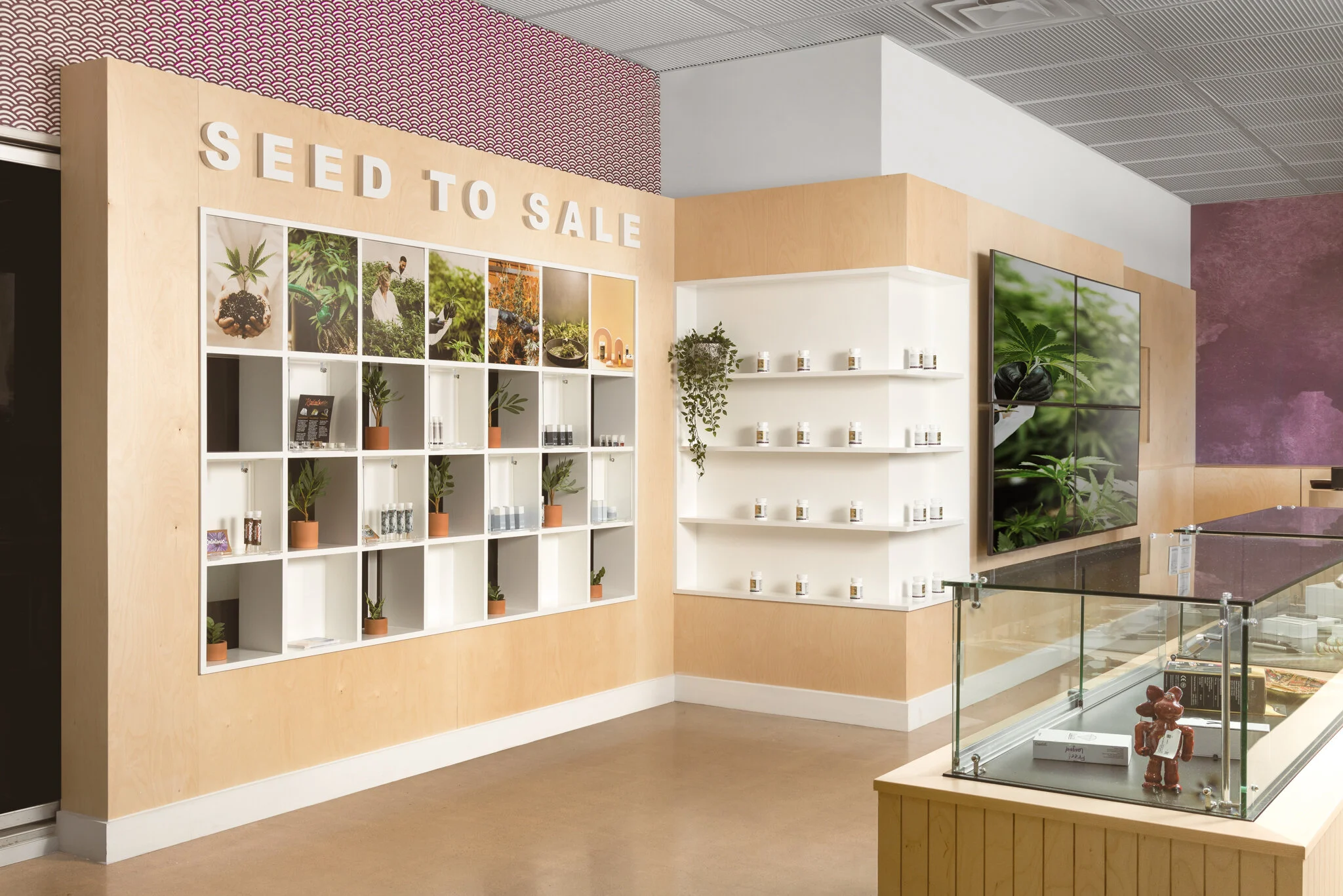 Giving Tree Dispensary