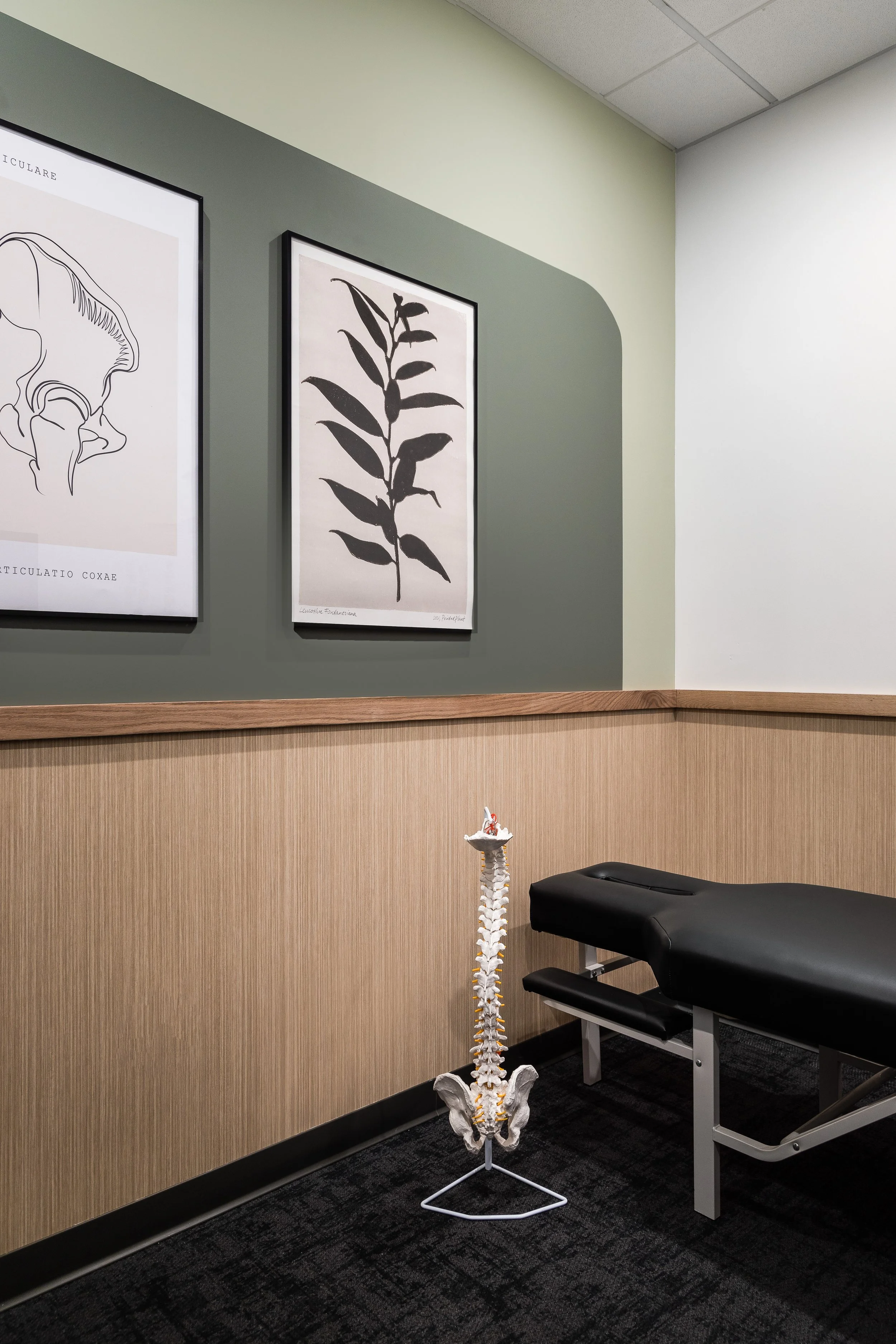 Desert Springs Chiropractic