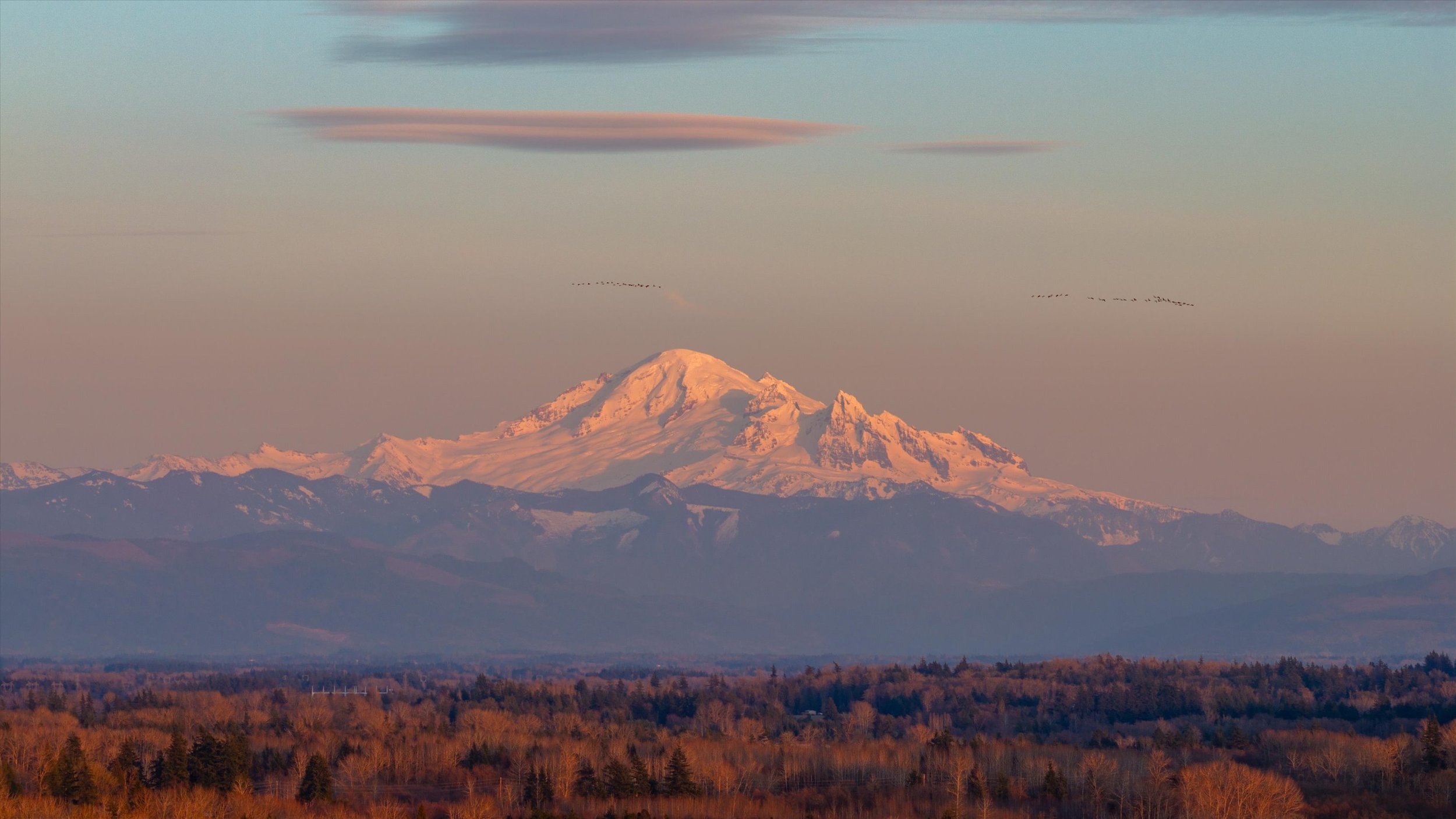 35-7563 Morrison Ave (35).jpg