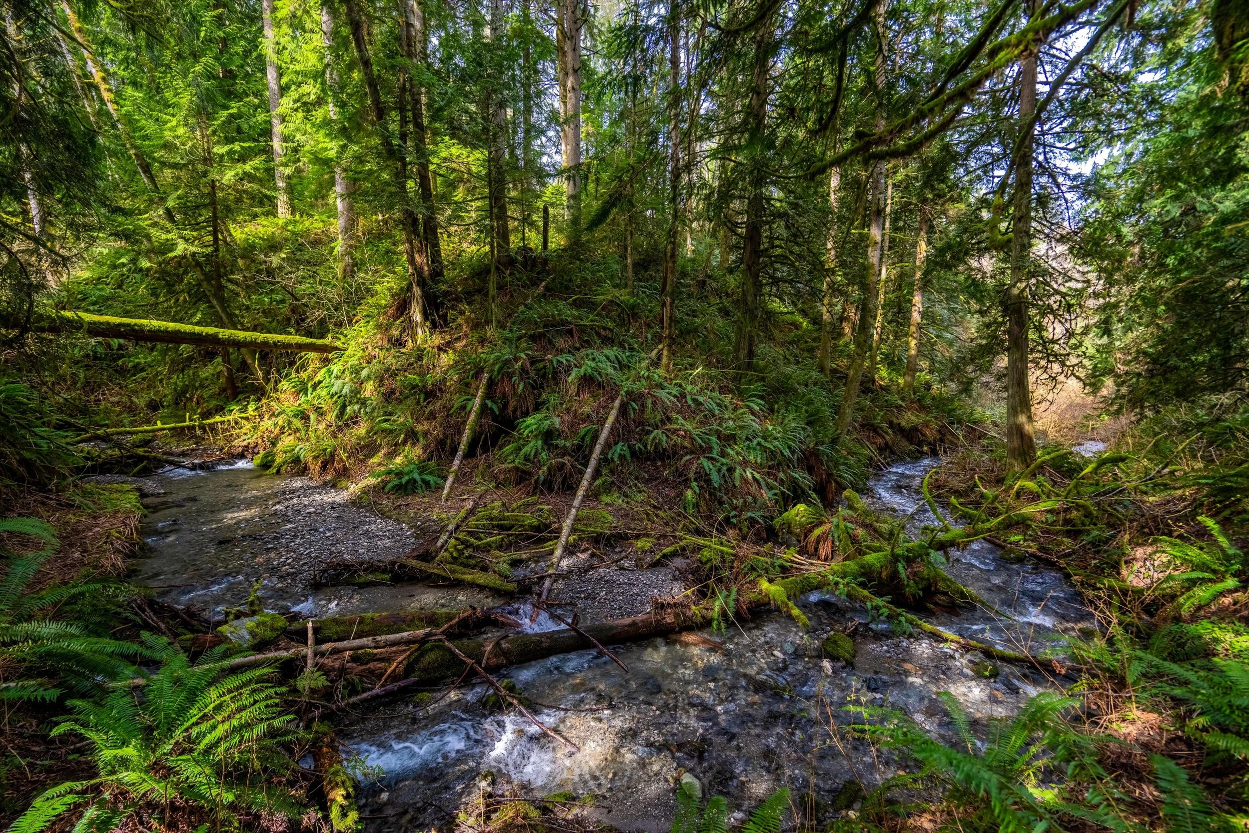 52-17231 Barrell Springs-10.jpg