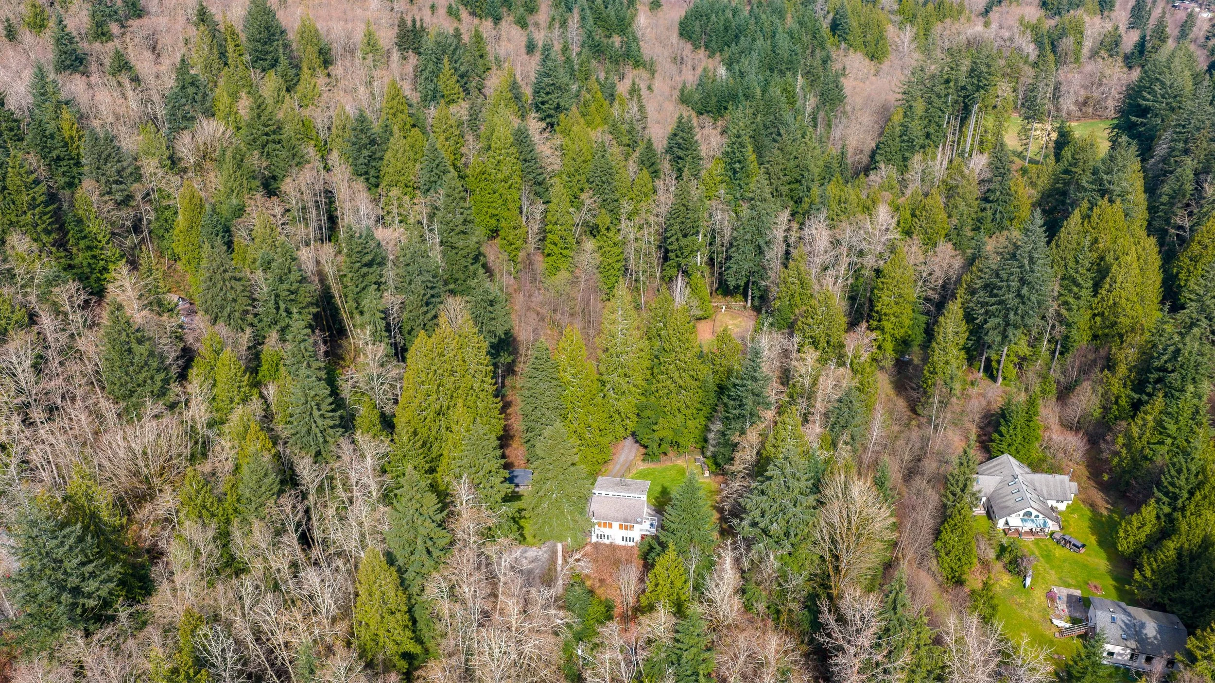 39-17231 Barrell Springs drone-4.jpg