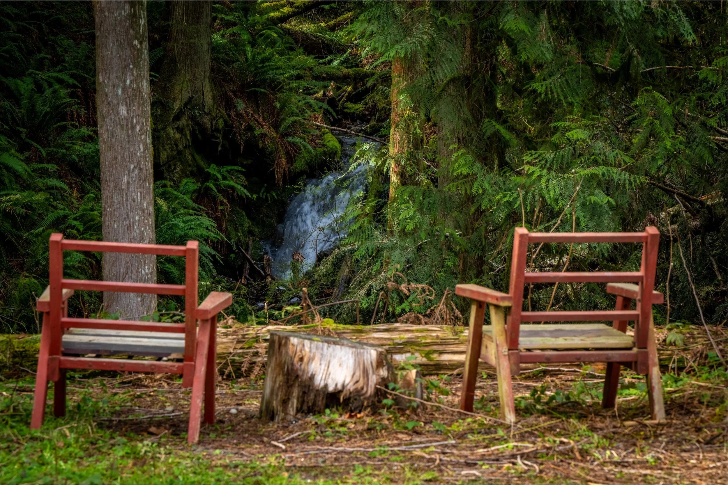 47-17231 Barrell Springs-5.jpg