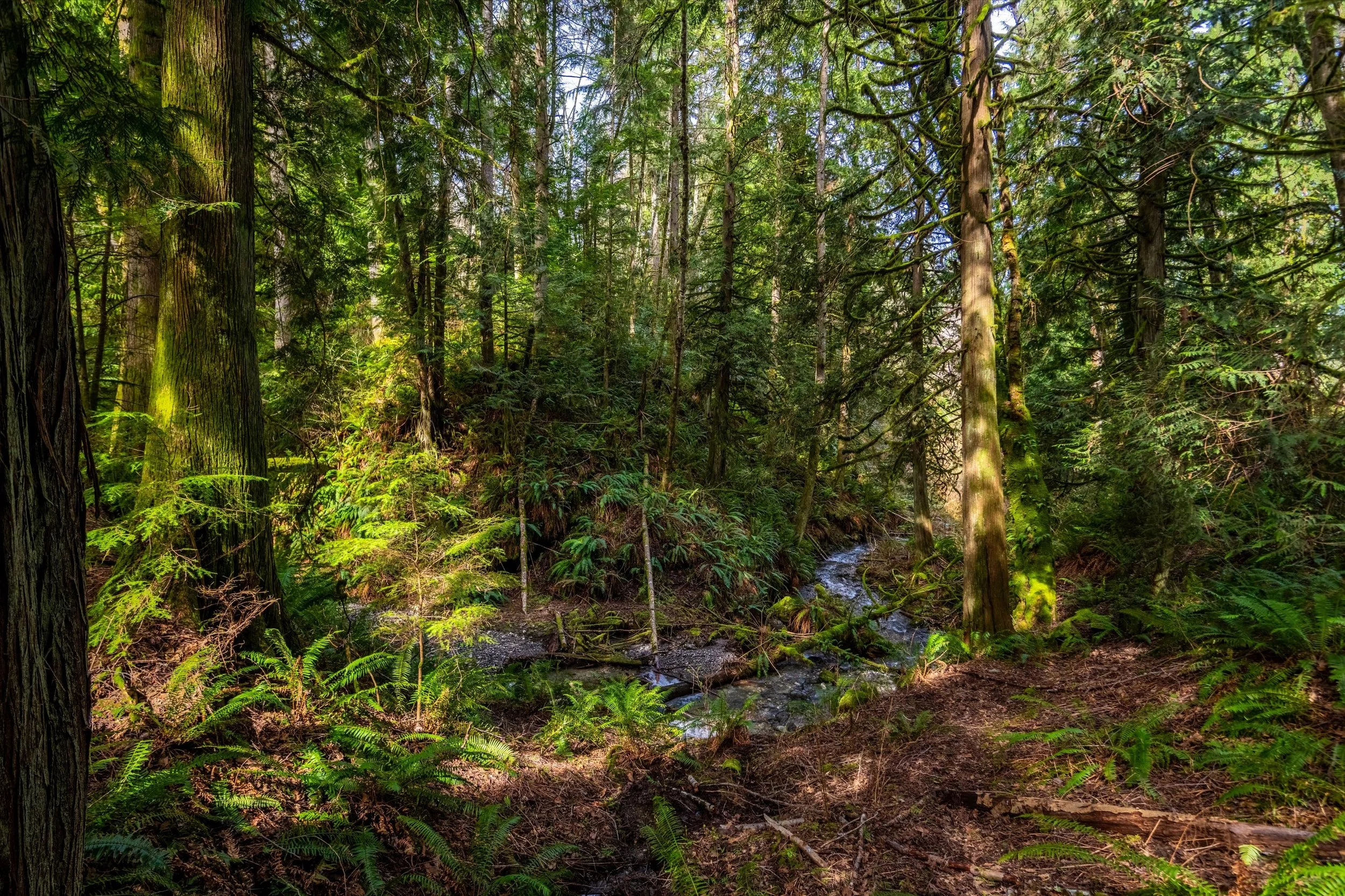 50-17231 Barrell Springs-8.jpg