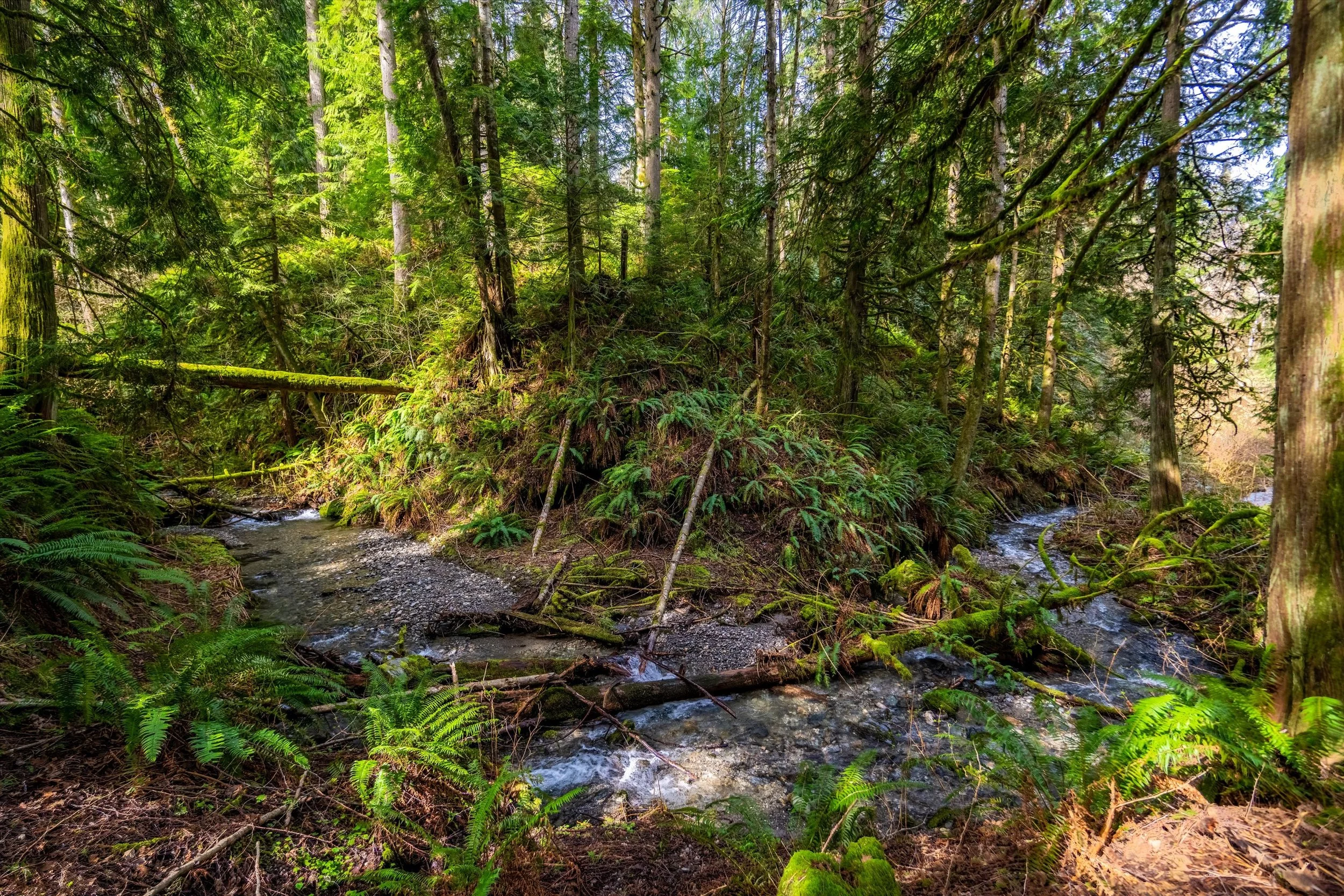 51-17231 Barrell Springs-9.jpg