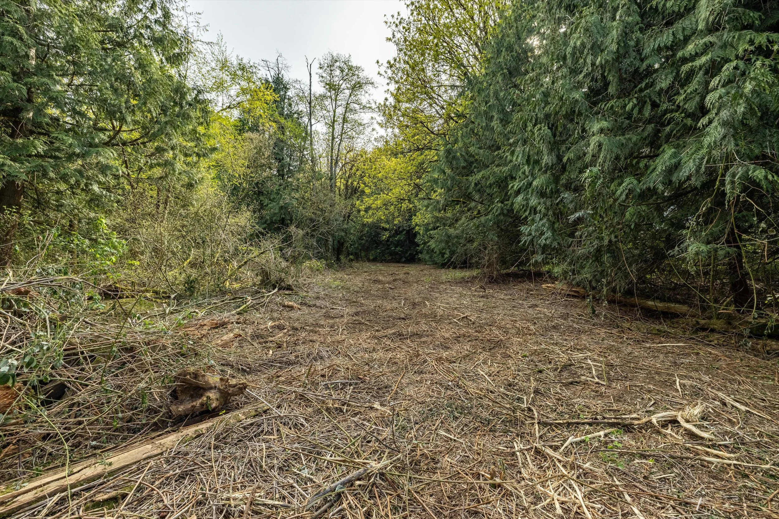 13-55xx East Rd, Bellingham-14.jpg