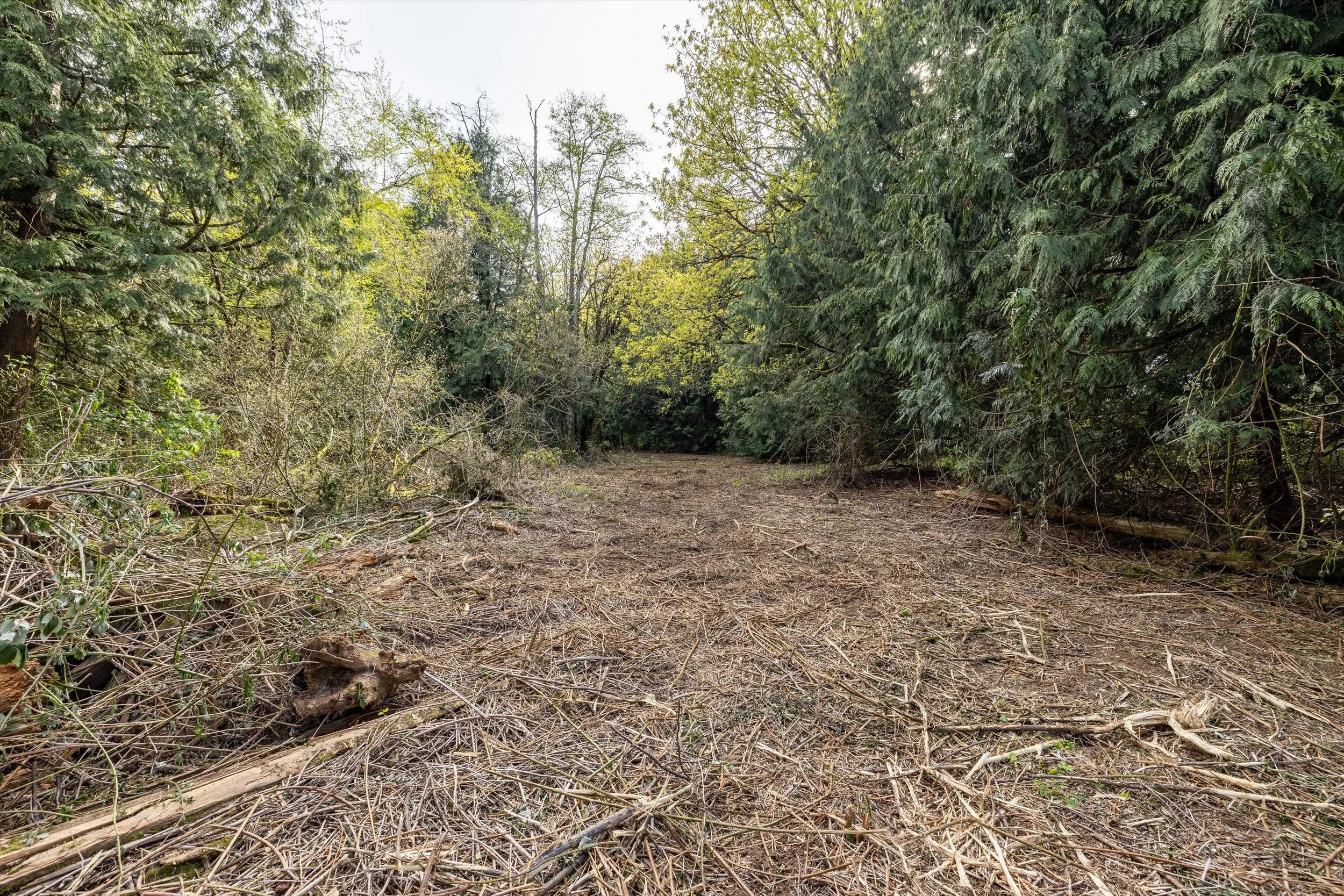 14-55xx East Rd, Bellingham-15.jpg