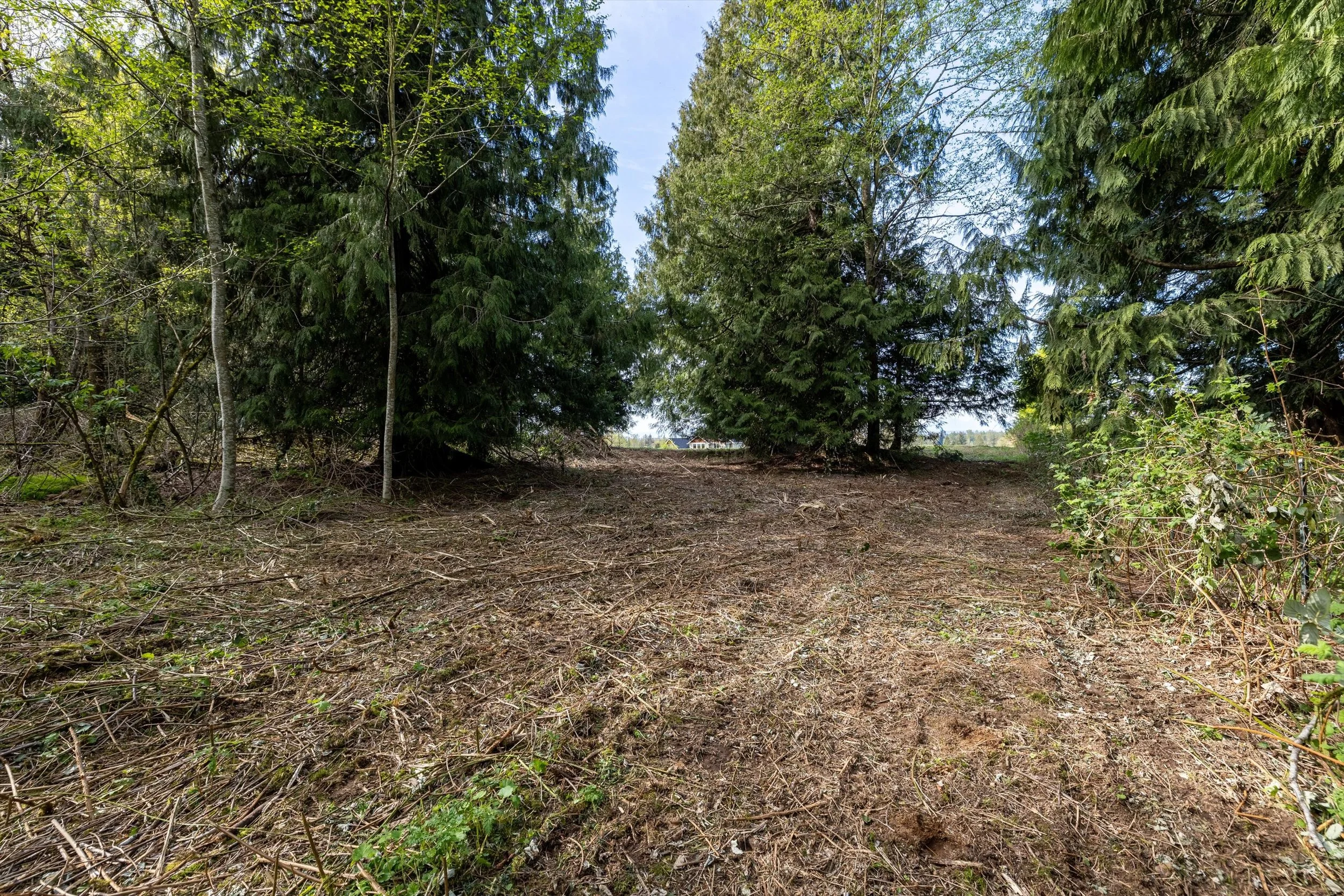 15-55xx East Rd, Bellingham-16.jpg