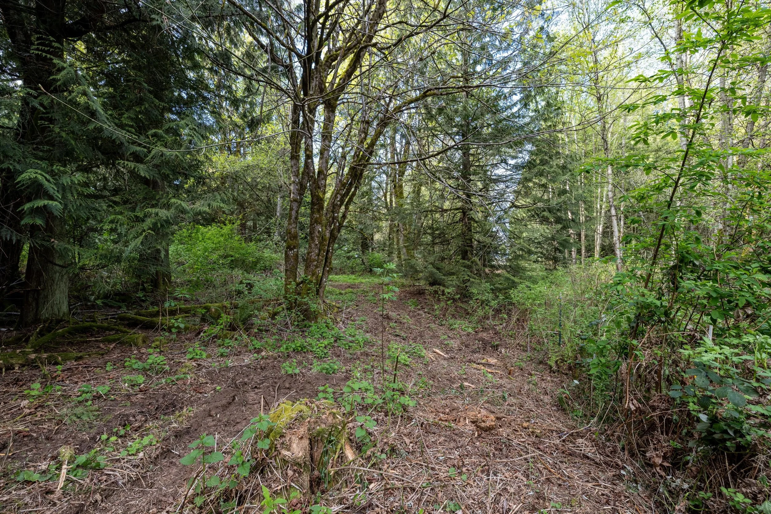 16-55xx East Rd, Bellingham-17.jpg