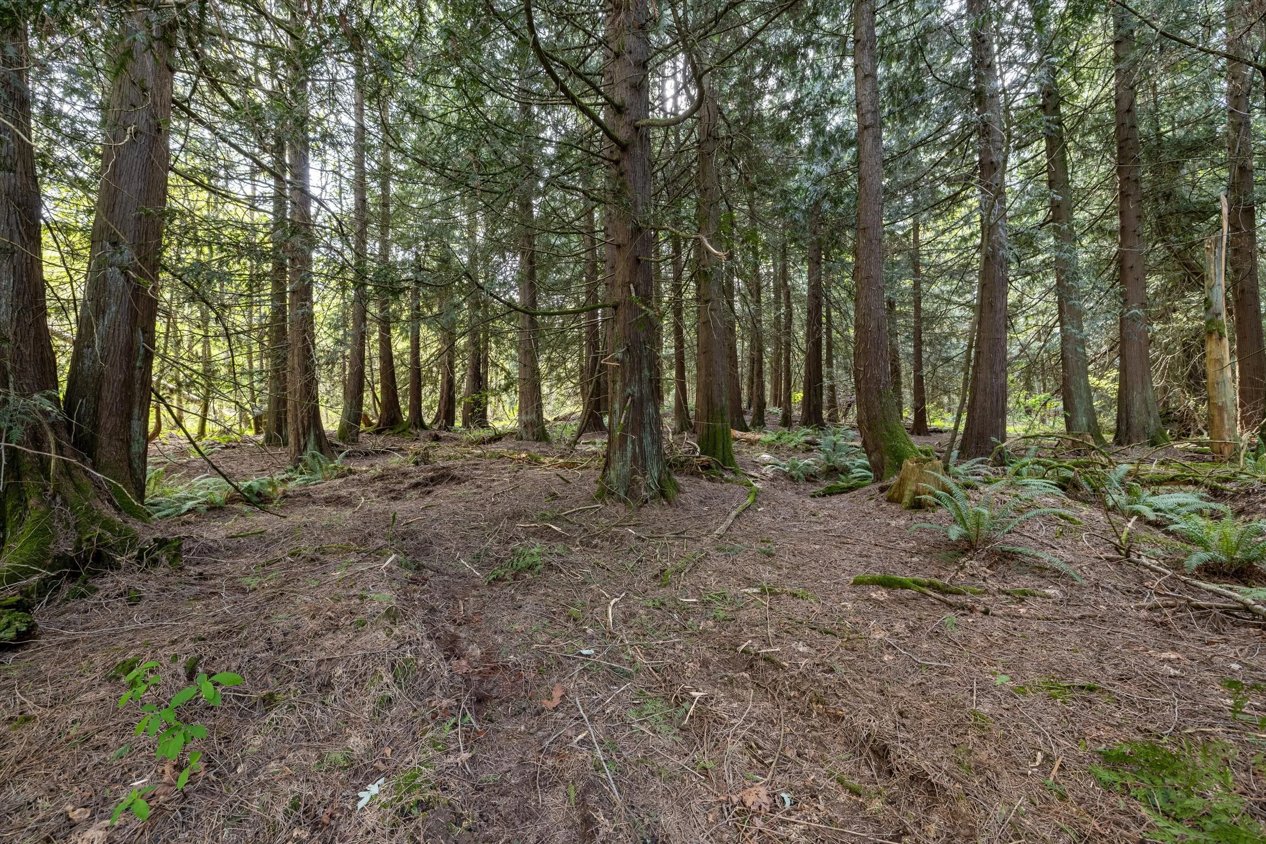 17-55xx East Rd, Bellingham-18.jpg