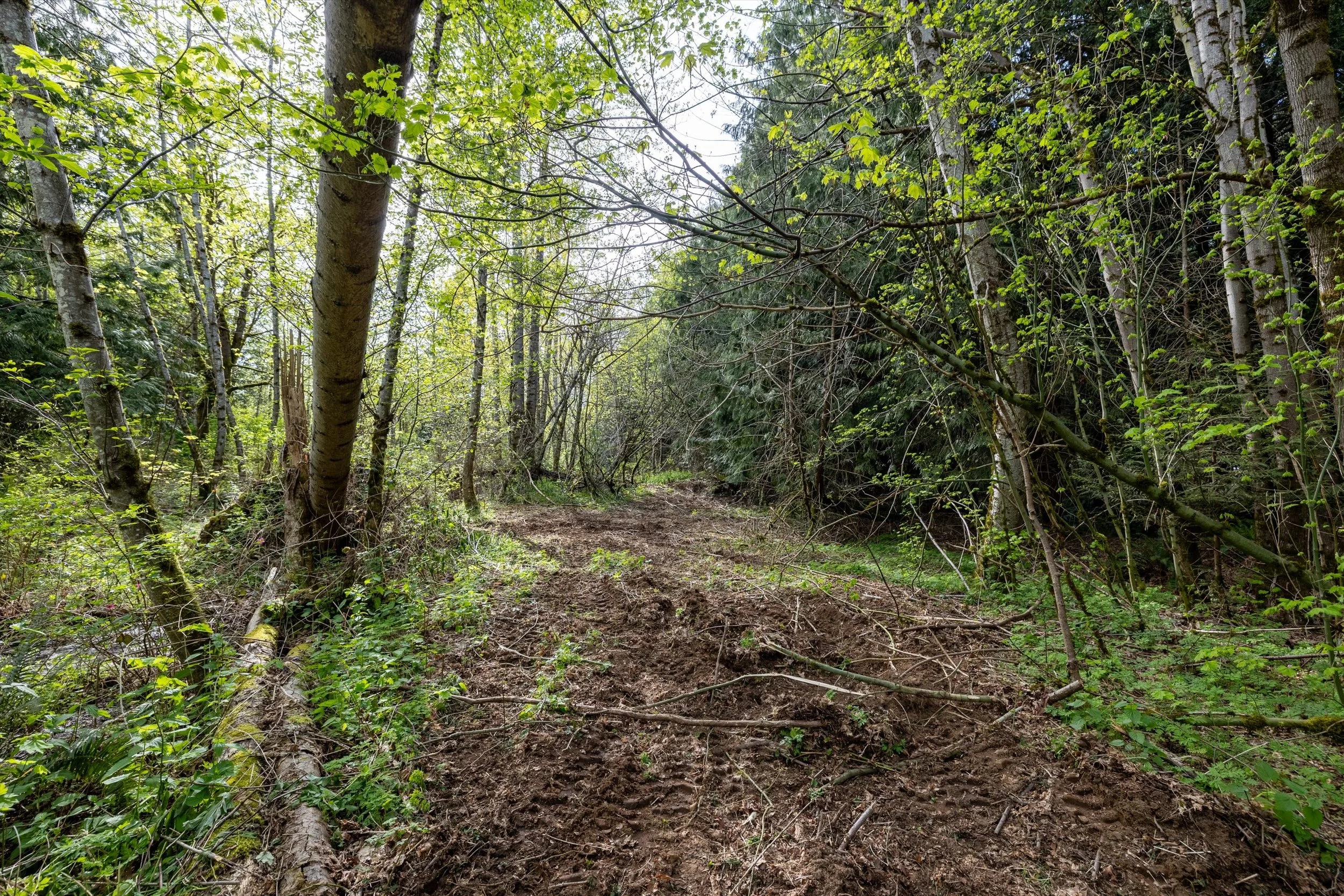 18-55xx East Rd, Bellingham-19.jpg